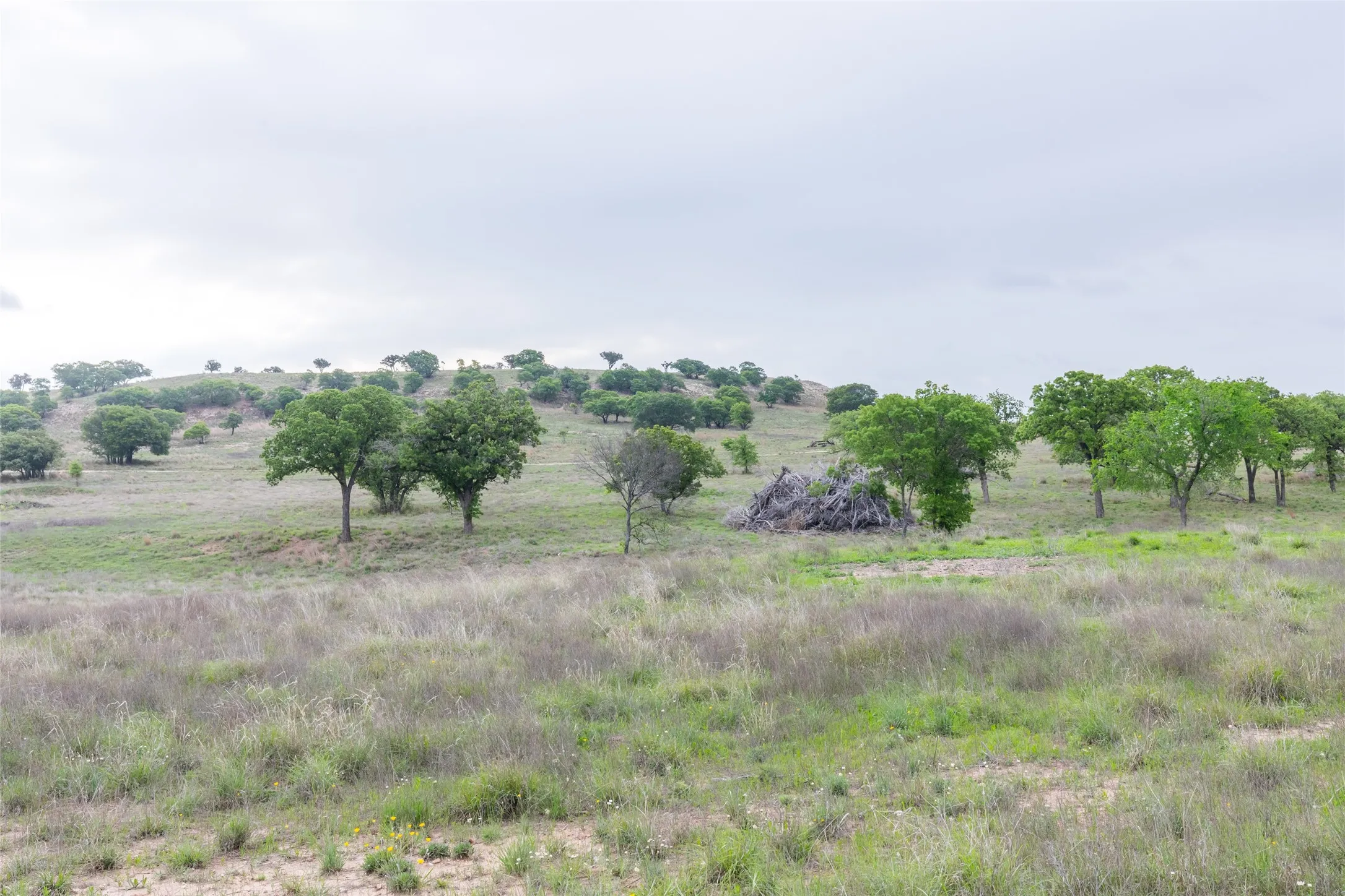Ranch For Sale in Taylor County , 1034 County Road 207, Ovalo, Texas 79541, 0, 0, Garage spaces, 0 Sqft, built in 0, Price $3,900,000, mls#21133168, Real Estate Agent in Ovalo, Homes For Sale in Taylor county, Homes For Sale in Ovalo, Realtor in Ovalo Texas, Real Estate Brokerage Independent Realty Texas, Luminita Cordes Realtor