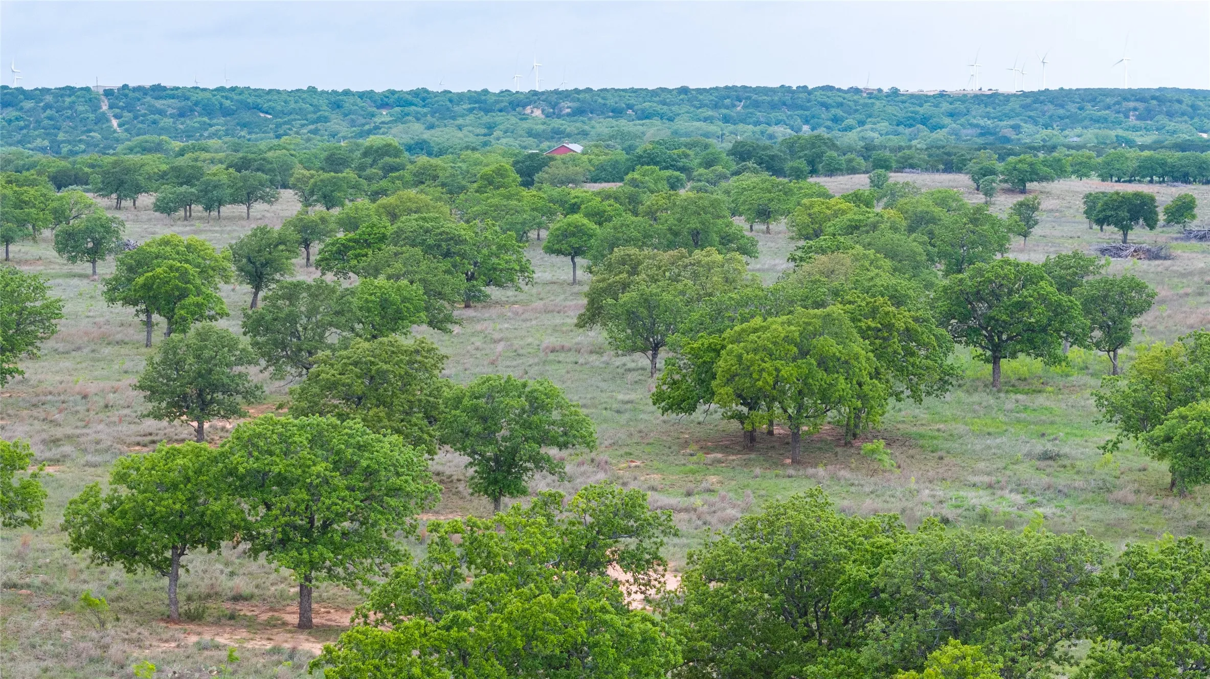 Ranch For Sale in Taylor County , 1034 County Road 207, Ovalo, Texas 79541, 0, 0, Garage spaces, 0 Sqft, built in 0, Price $3,900,000, mls#21133168, Real Estate Agent in Ovalo, Homes For Sale in Taylor county, Homes For Sale in Ovalo, Realtor in Ovalo Texas, Real Estate Brokerage Independent Realty Texas, Luminita Cordes Realtor