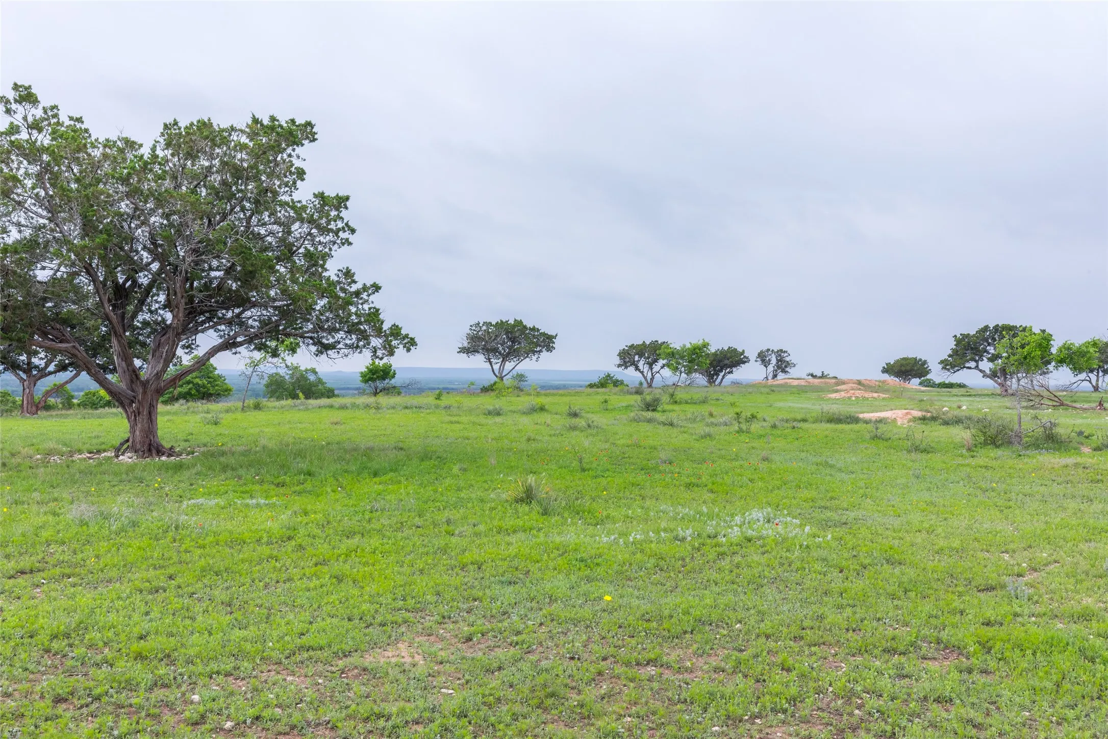 Ranch For Sale in Taylor County , 1034 County Road 207, Ovalo, Texas 79541, 0, 0, Garage spaces, 0 Sqft, built in 0, Price $3,900,000, mls#21133168, Real Estate Agent in Ovalo, Homes For Sale in Taylor county, Homes For Sale in Ovalo, Realtor in Ovalo Texas, Real Estate Brokerage Independent Realty Texas, Luminita Cordes Realtor