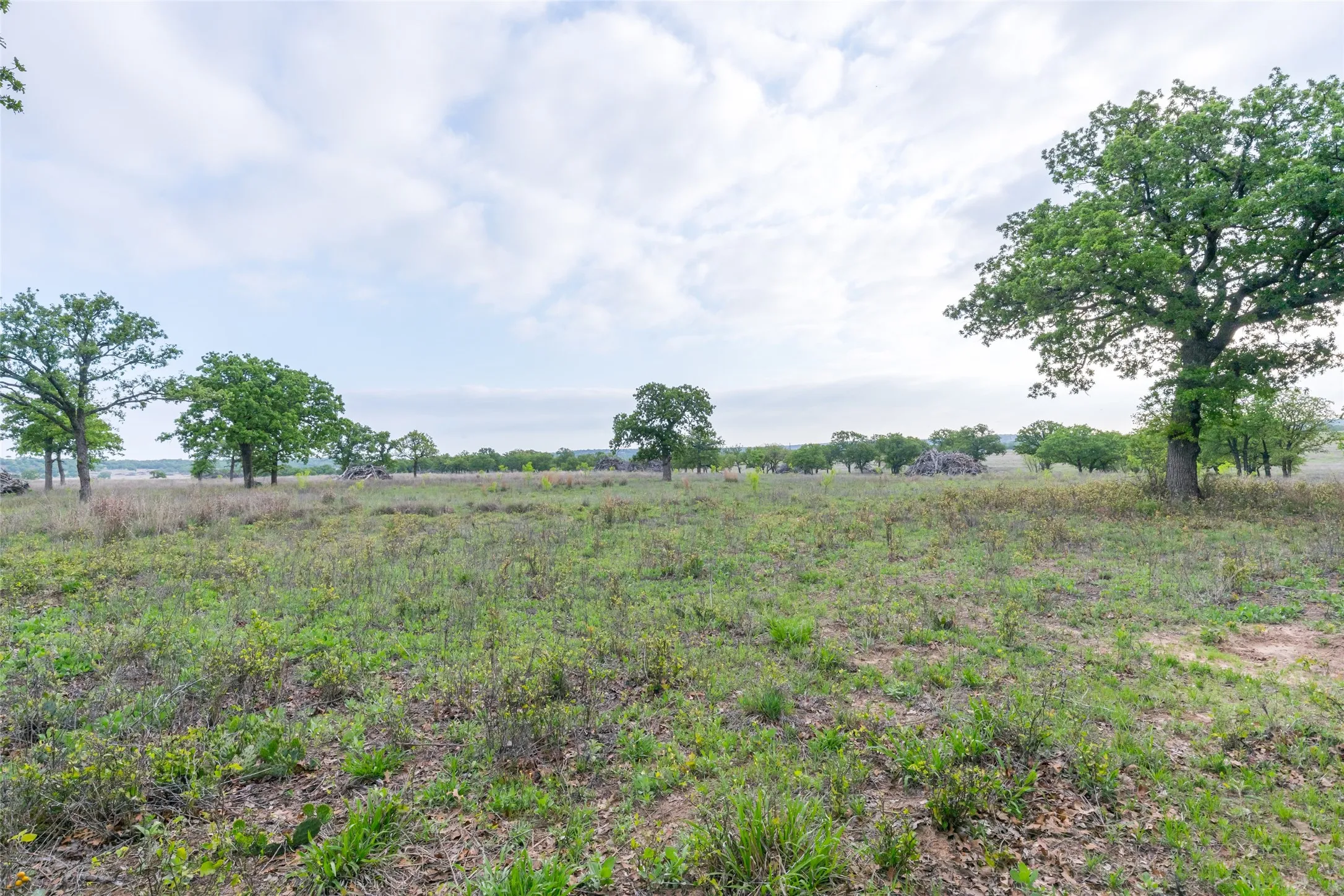 Ranch For Sale in Taylor County , 1034 County Road 207, Ovalo, Texas 79541, 0, 0, Garage spaces, 0 Sqft, built in 0, Price $3,900,000, mls#21133168, Real Estate Agent in Ovalo, Homes For Sale in Taylor county, Homes For Sale in Ovalo, Realtor in Ovalo Texas, Real Estate Brokerage Independent Realty Texas, Luminita Cordes Realtor