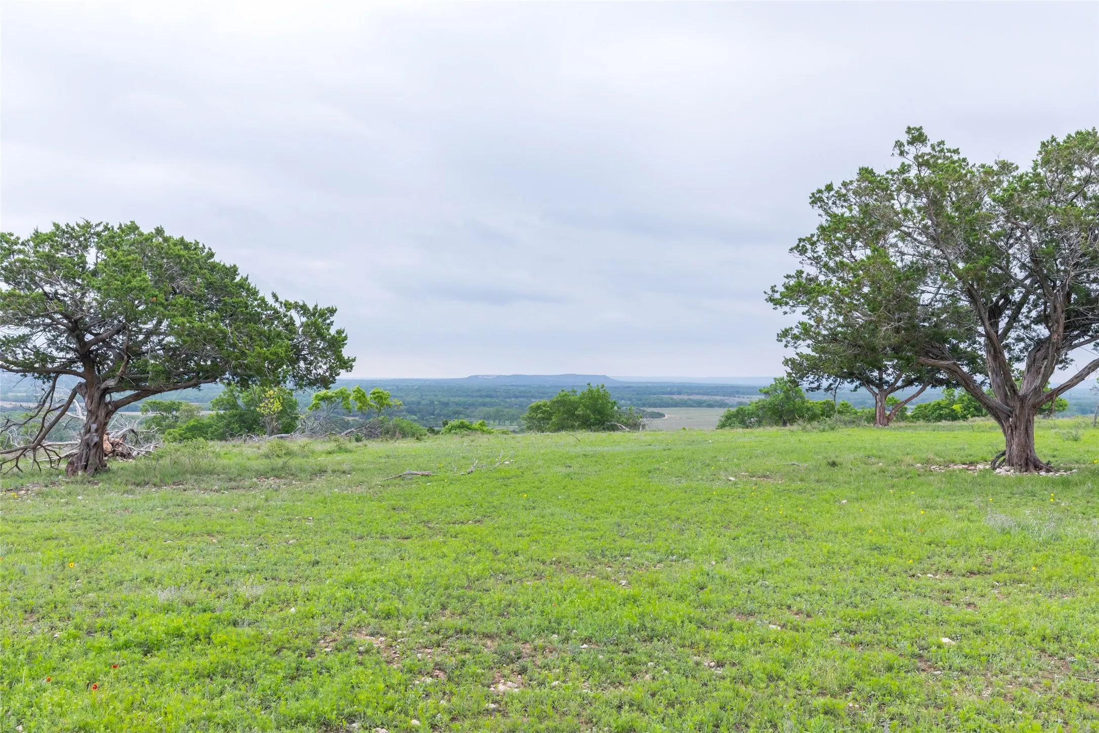 Ranch For Sale in Taylor County , 1034 County Road 207, Ovalo, Texas 79541, 0, 0, Garage spaces, 0 Sqft, built in 0, Price $3,900,000, mls#21133168, Real Estate Agent in Ovalo, Homes For Sale in Taylor county, Homes For Sale in Ovalo, Realtor in Ovalo Texas, Real Estate Brokerage Independent Realty Texas, Luminita Cordes Realtor