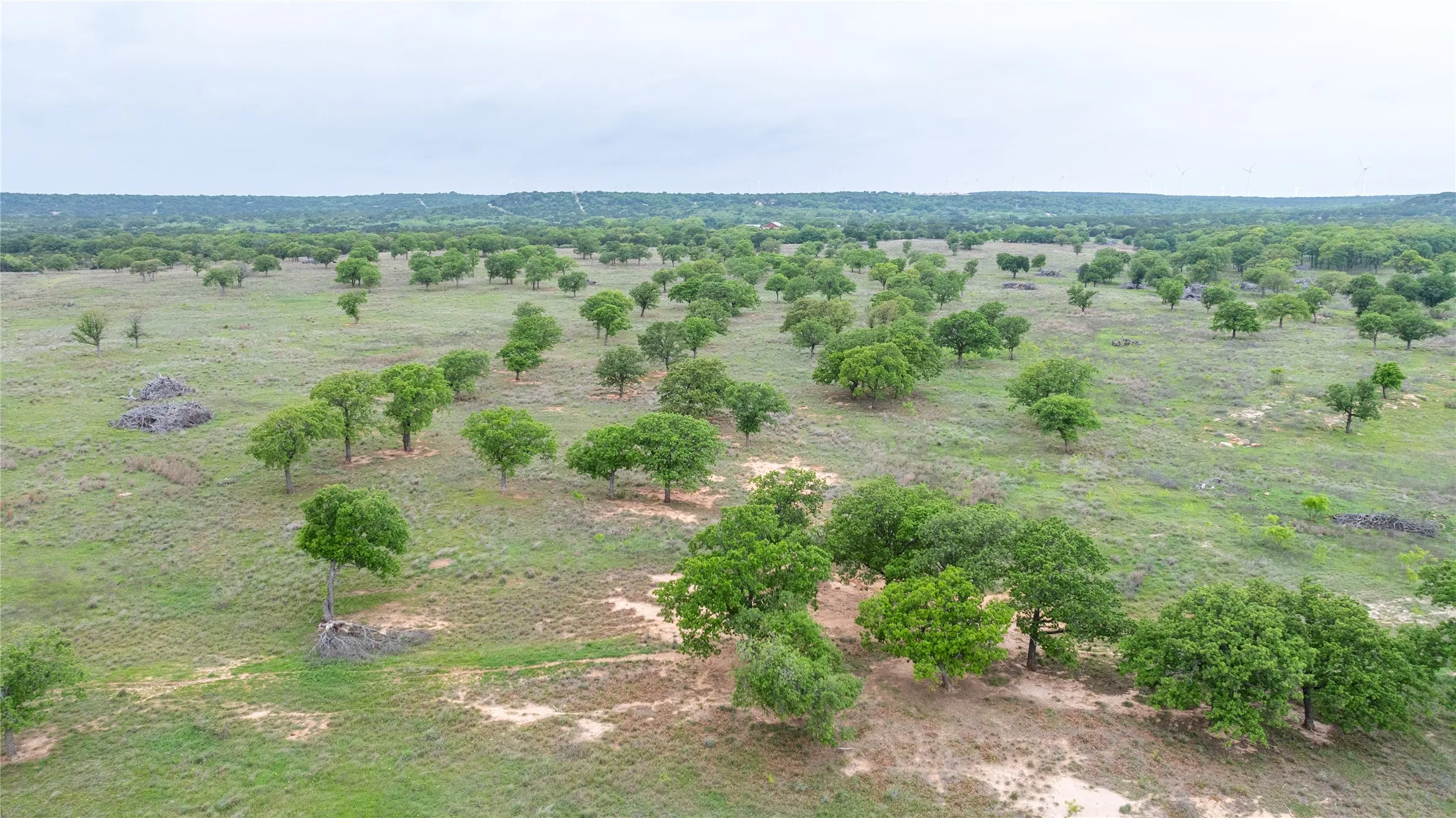 Ranch For Sale in Taylor County , 1034 County Road 207, Ovalo, Texas 79541, 0, 0, Garage spaces, 0 Sqft, built in 0, Price $3,900,000, mls#21133168, Real Estate Agent in Ovalo, Homes For Sale in Taylor county, Homes For Sale in Ovalo, Realtor in Ovalo Texas, Real Estate Brokerage Independent Realty Texas, Luminita Cordes Realtor