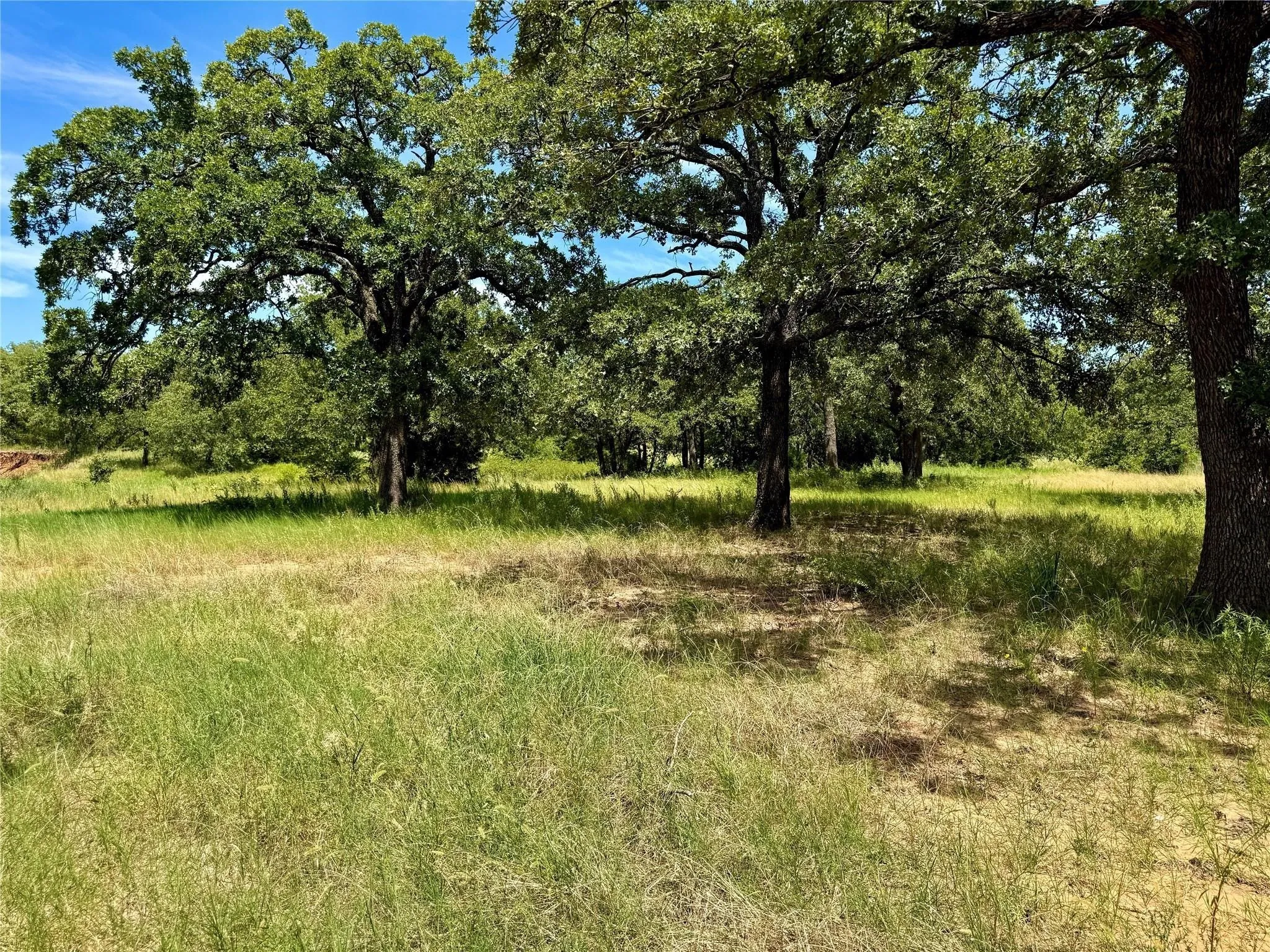 Improved Land For Sale in Montague County , 120 Nocona Drive, Nocona, Texas 76255, 0, 0, Garage spaces, 0 Sqft, built in 1980, mls#21154888, Real Estate Agent in Nocona, Homes For Sale in Montague county, Homes For Sale in Nocona, Realtor in Nocona Texas, Real Estate Brokerage Independent Realty Texas, Luminita Cordes Realtor