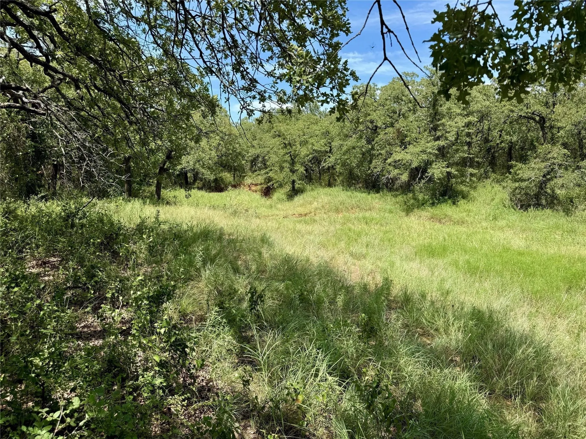 Improved Land For Sale in Montague County , 120 Nocona Drive, Nocona, Texas 76255, 0, 0, Garage spaces, 0 Sqft, built in 1980, mls#21154888, Real Estate Agent in Nocona, Homes For Sale in Montague county, Homes For Sale in Nocona, Realtor in Nocona Texas, Real Estate Brokerage Independent Realty Texas, Luminita Cordes Realtor