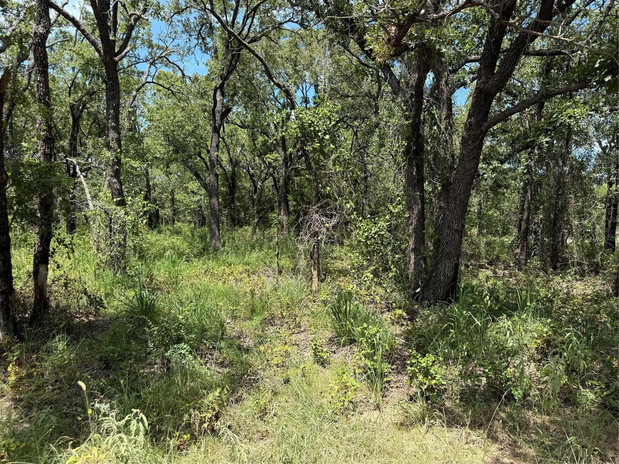 Improved Land For Sale in Montague County , 120 Nocona Drive, Nocona, Texas 76255, 0, 0, Garage spaces, 0 Sqft, built in 1980, mls#21154888, Real Estate Agent in Nocona, Homes For Sale in Montague county, Homes For Sale in Nocona, Realtor in Nocona Texas, Real Estate Brokerage Independent Realty Texas, Luminita Cordes Realtor