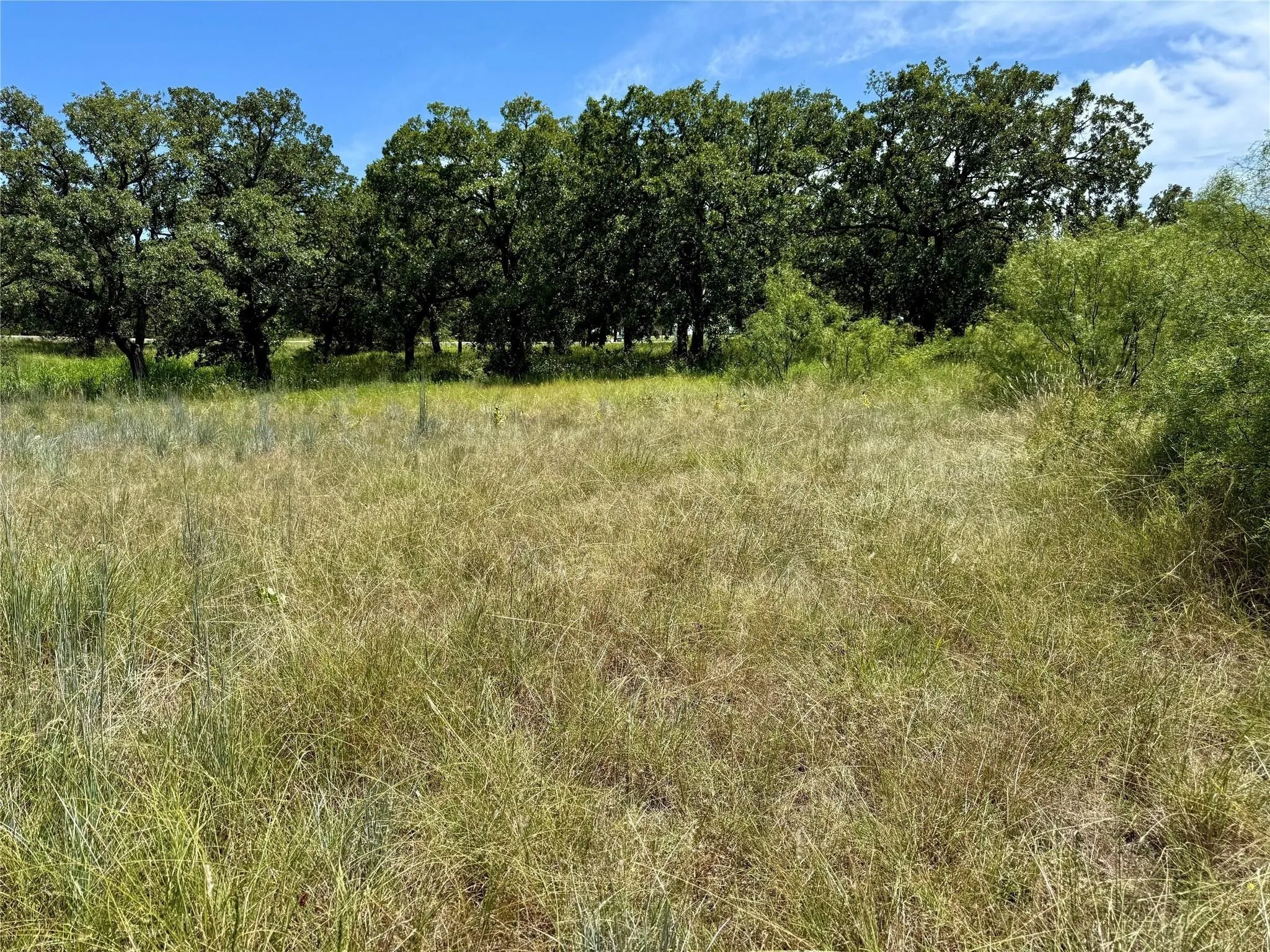Improved Land For Sale in Montague County , 120 Nocona Drive, Nocona, Texas 76255, 0, 0, Garage spaces, 0 Sqft, built in 1980, mls#21154888, Real Estate Agent in Nocona, Homes For Sale in Montague county, Homes For Sale in Nocona, Realtor in Nocona Texas, Real Estate Brokerage Independent Realty Texas, Luminita Cordes Realtor