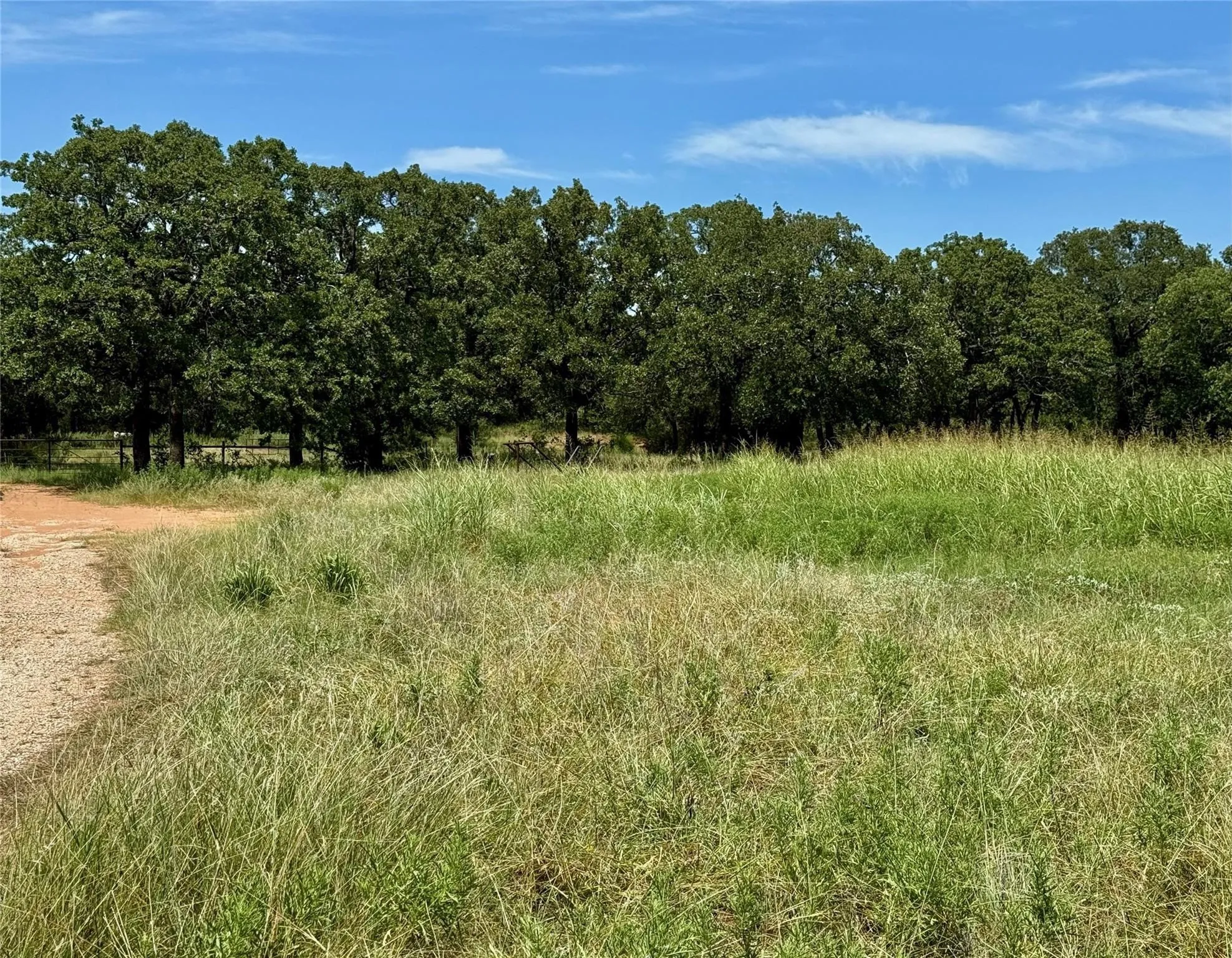 Improved Land For Sale in Montague County , 120 Nocona Drive, Nocona, Texas 76255, 0, 0, Garage spaces, 0 Sqft, built in 1980, mls#21154888, Real Estate Agent in Nocona, Homes For Sale in Montague county, Homes For Sale in Nocona, Realtor in Nocona Texas, Real Estate Brokerage Independent Realty Texas, Luminita Cordes Realtor
