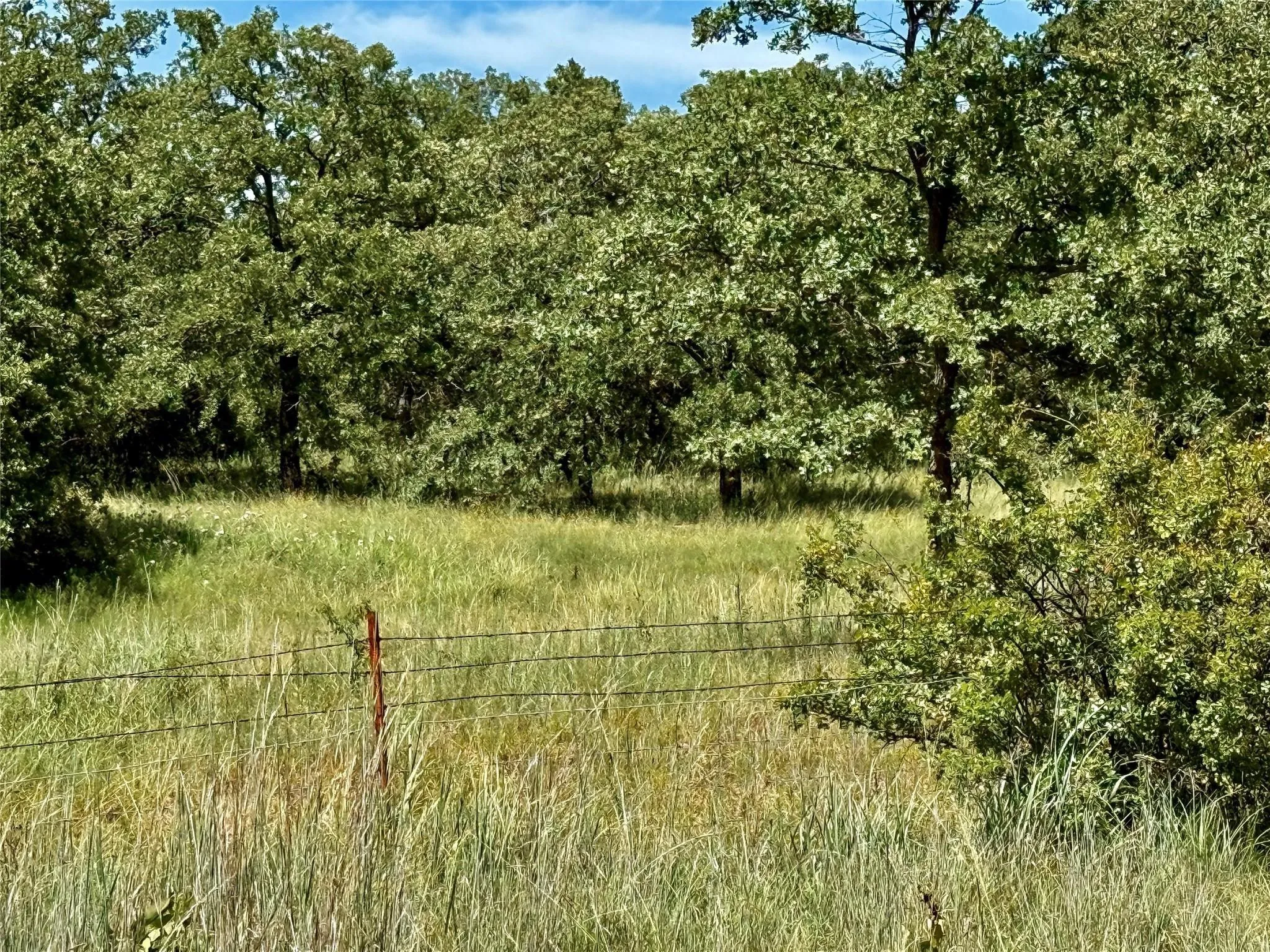 Improved Land For Sale in Montague County , 120 Nocona Drive, Nocona, Texas 76255, 0, 0, Garage spaces, 0 Sqft, built in 1980, mls#21154888, Real Estate Agent in Nocona, Homes For Sale in Montague county, Homes For Sale in Nocona, Realtor in Nocona Texas, Real Estate Brokerage Independent Realty Texas, Luminita Cordes Realtor