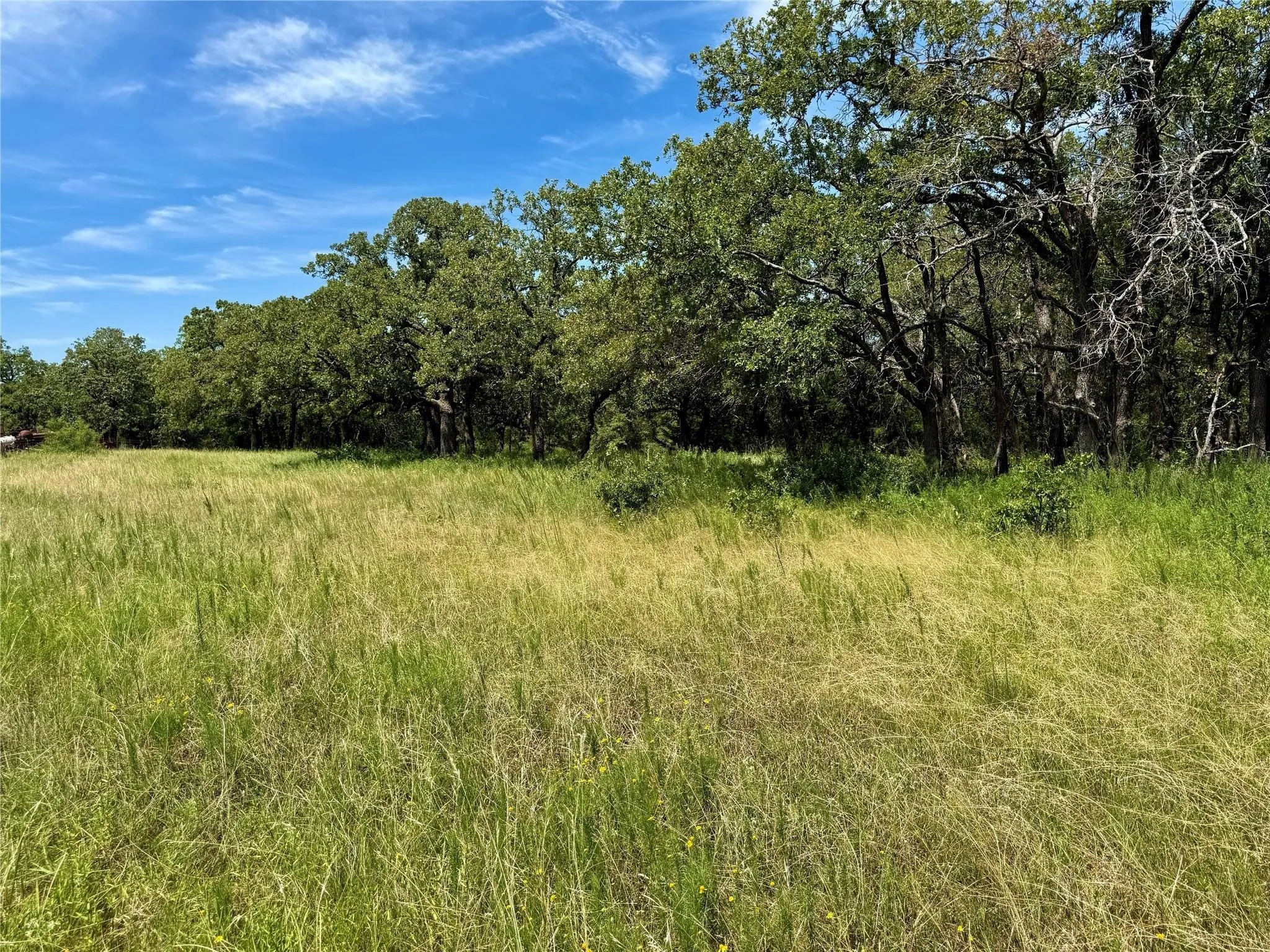 Improved Land For Sale in Montague County , 120 Nocona Drive, Nocona, Texas 76255, 0, 0, Garage spaces, 0 Sqft, built in 1980, mls#21154888, Real Estate Agent in Nocona, Homes For Sale in Montague county, Homes For Sale in Nocona, Realtor in Nocona Texas, Real Estate Brokerage Independent Realty Texas, Luminita Cordes Realtor