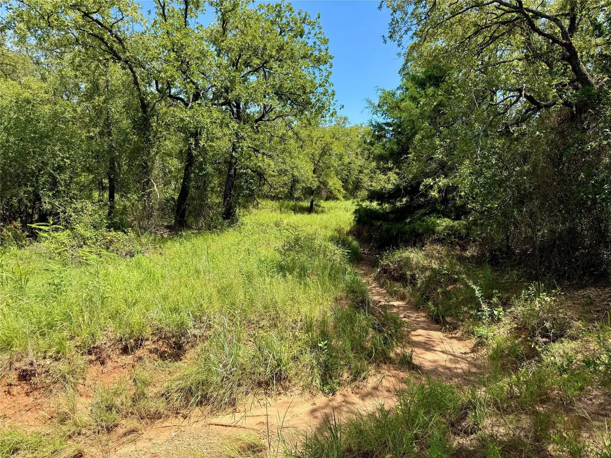 Improved Land For Sale in Montague County , 120 Nocona Drive, Nocona, Texas 76255, 0, 0, Garage spaces, 0 Sqft, built in 1980, mls#21154888, Real Estate Agent in Nocona, Homes For Sale in Montague county, Homes For Sale in Nocona, Realtor in Nocona Texas, Real Estate Brokerage Independent Realty Texas, Luminita Cordes Realtor