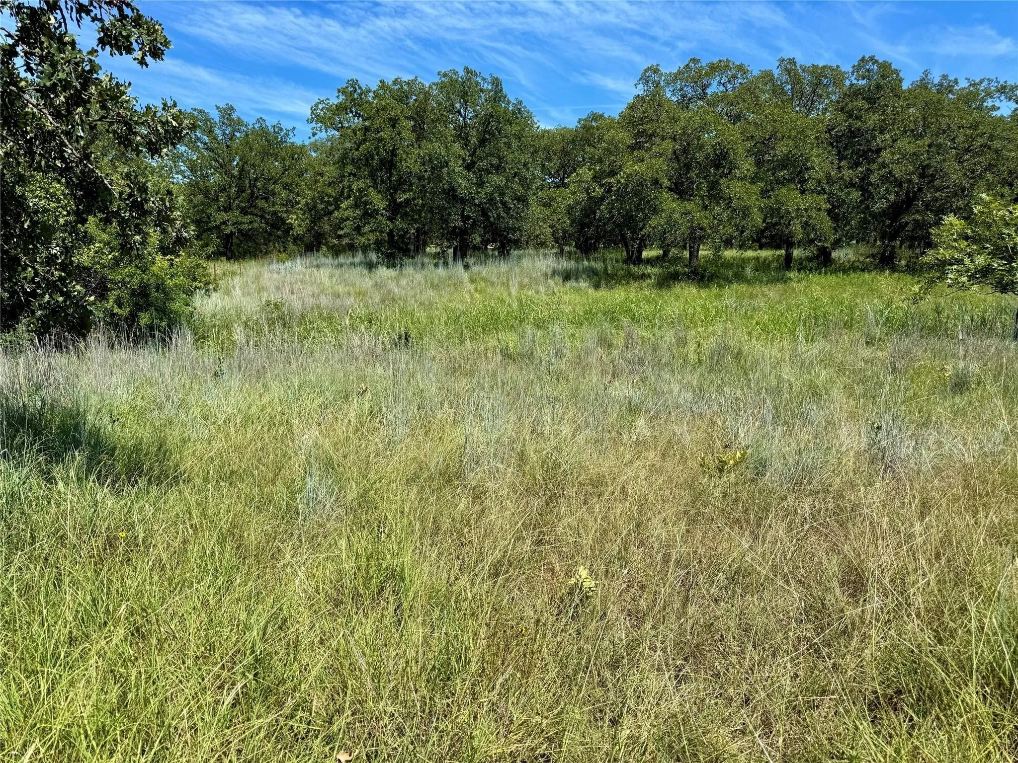 Improved Land For Sale in Montague County , 120 Nocona Drive, Nocona, Texas 76255, 0, 0, Garage spaces, 0 Sqft, built in 1980, mls#21154888, Real Estate Agent in Nocona, Homes For Sale in Montague county, Homes For Sale in Nocona, Realtor in Nocona Texas, Real Estate Brokerage Independent Realty Texas, Luminita Cordes Realtor