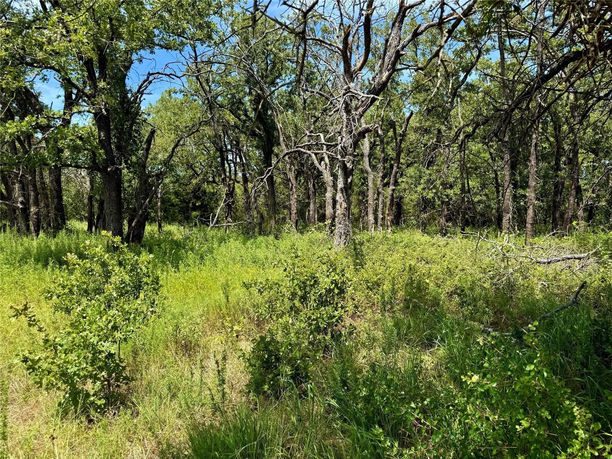Improved Land For Sale in Montague County , 120 Nocona Drive, Nocona, Texas 76255, 0, 0, Garage spaces, 0 Sqft, built in 1980, mls#21154888, Real Estate Agent in Nocona, Homes For Sale in Montague county, Homes For Sale in Nocona, Realtor in Nocona Texas, Real Estate Brokerage Independent Realty Texas, Luminita Cordes Realtor