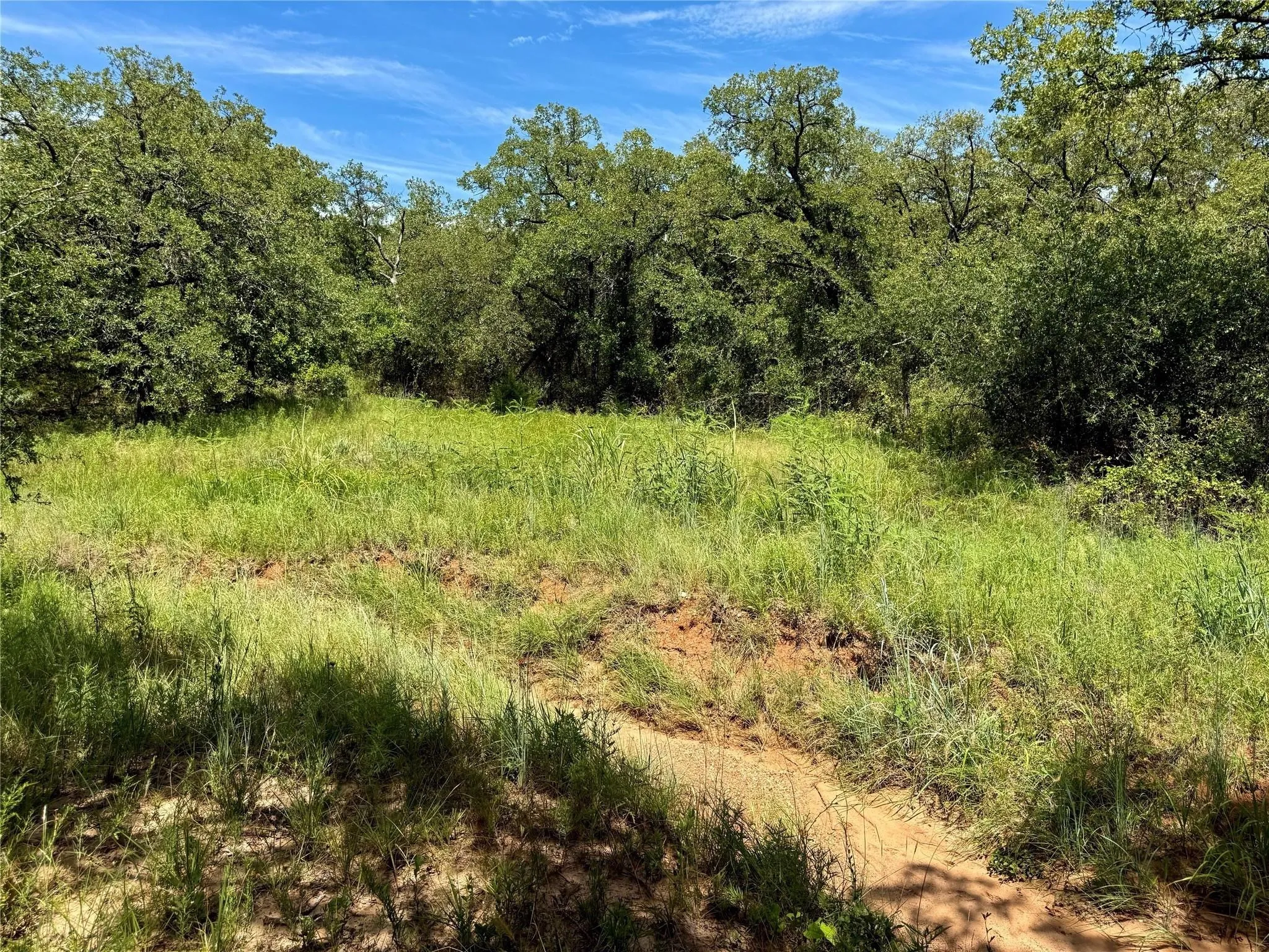 Improved Land For Sale in Montague County , 120 Nocona Drive, Nocona, Texas 76255, 0, 0, Garage spaces, 0 Sqft, built in 1980, mls#21154888, Real Estate Agent in Nocona, Homes For Sale in Montague county, Homes For Sale in Nocona, Realtor in Nocona Texas, Real Estate Brokerage Independent Realty Texas, Luminita Cordes Realtor