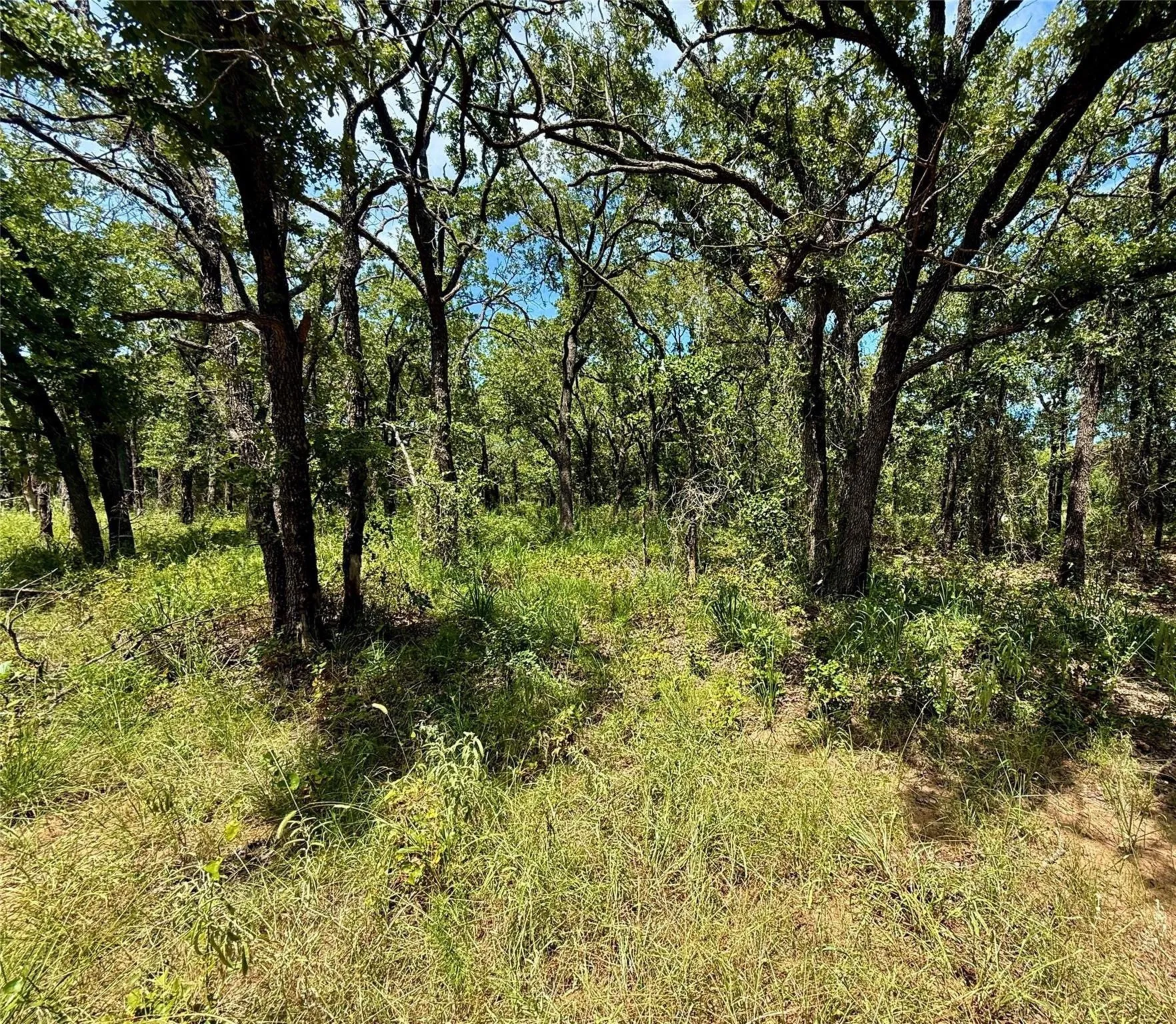 Improved Land For Sale in Montague County , 120 Nocona Drive, Nocona, Texas 76255, 0, 0, Garage spaces, 0 Sqft, built in 1980, mls#21154888, Real Estate Agent in Nocona, Homes For Sale in Montague county, Homes For Sale in Nocona, Realtor in Nocona Texas, Real Estate Brokerage Independent Realty Texas, Luminita Cordes Realtor