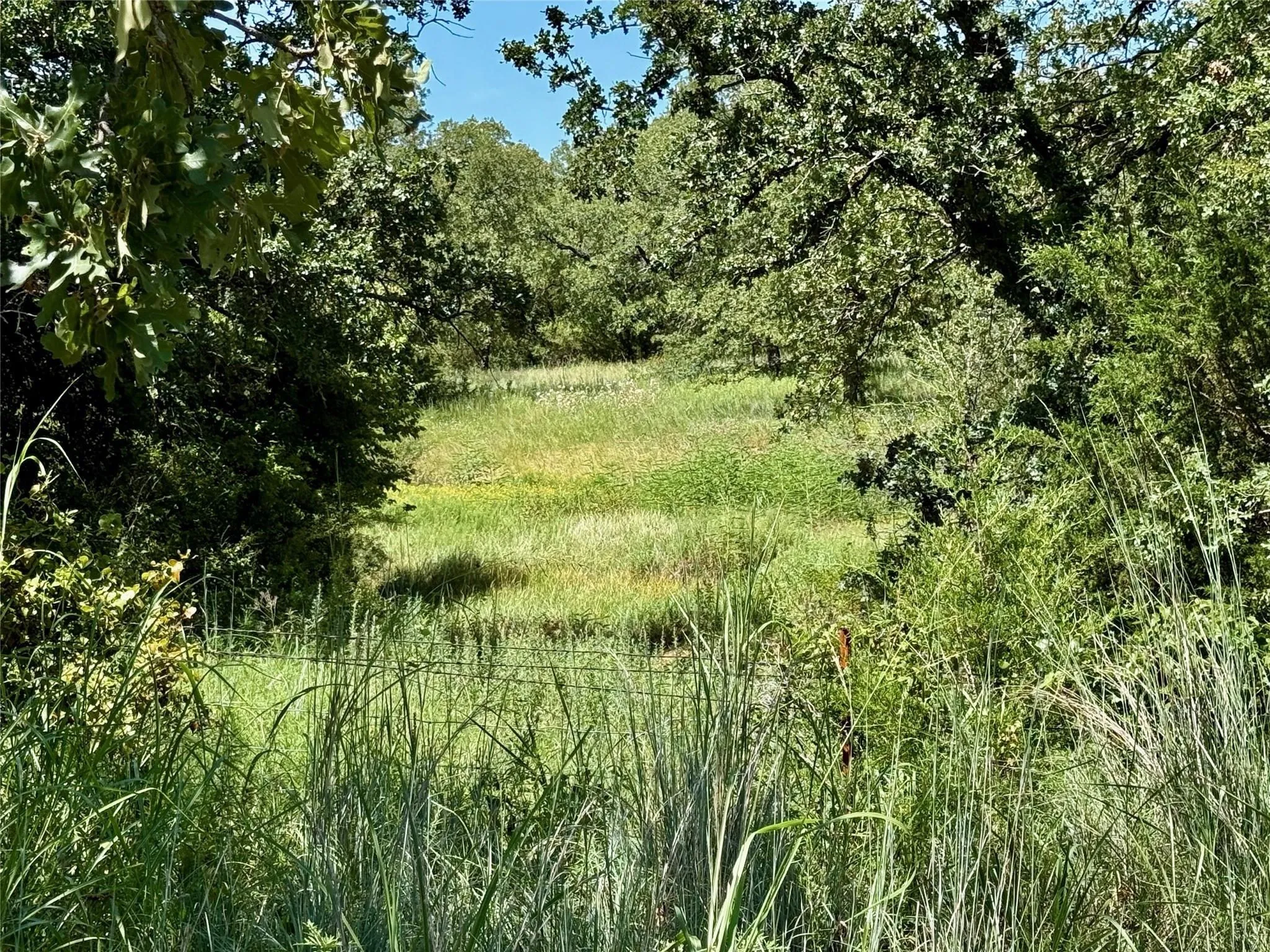 Improved Land For Sale in Montague County , 120 Nocona Drive, Nocona, Texas 76255, 0, 0, Garage spaces, 0 Sqft, built in 1980, mls#21154888, Real Estate Agent in Nocona, Homes For Sale in Montague county, Homes For Sale in Nocona, Realtor in Nocona Texas, Real Estate Brokerage Independent Realty Texas, Luminita Cordes Realtor