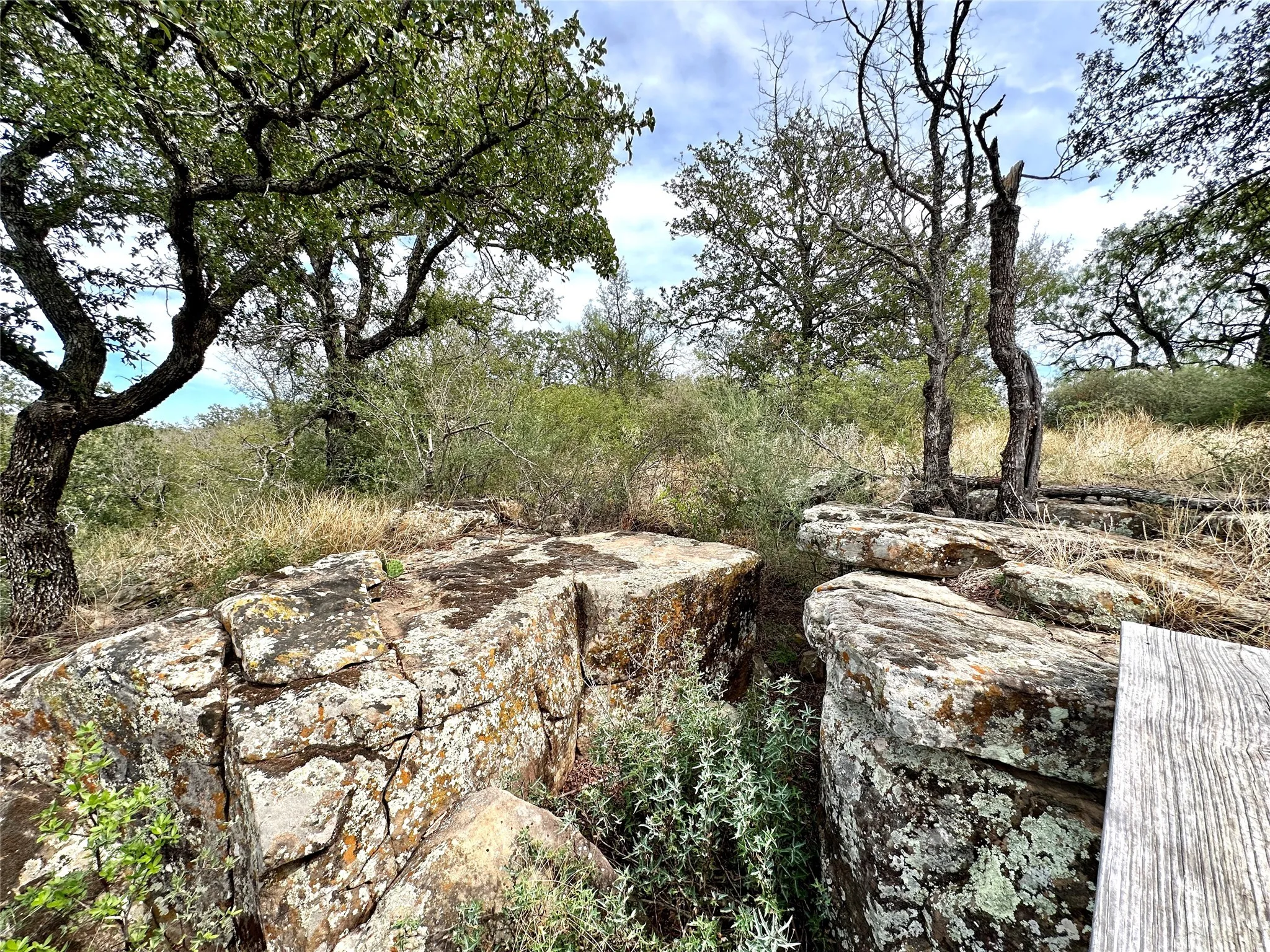 Single Family Residence For Sale in Brown County , 8982 County Road 149, Brownwood, Texas 76801, 1 Bedroom, 1 Bathroom, Garage spaces, 584 Sqft, built in 2018, mls#21153889, Real Estate Agent in Brownwood, Homes For Sale in Brown county, Homes For Sale in Brownwood, Realtor in Brownwood Texas, Real Estate Brokerage Independent Realty Texas, Luminita Cordes Realtor