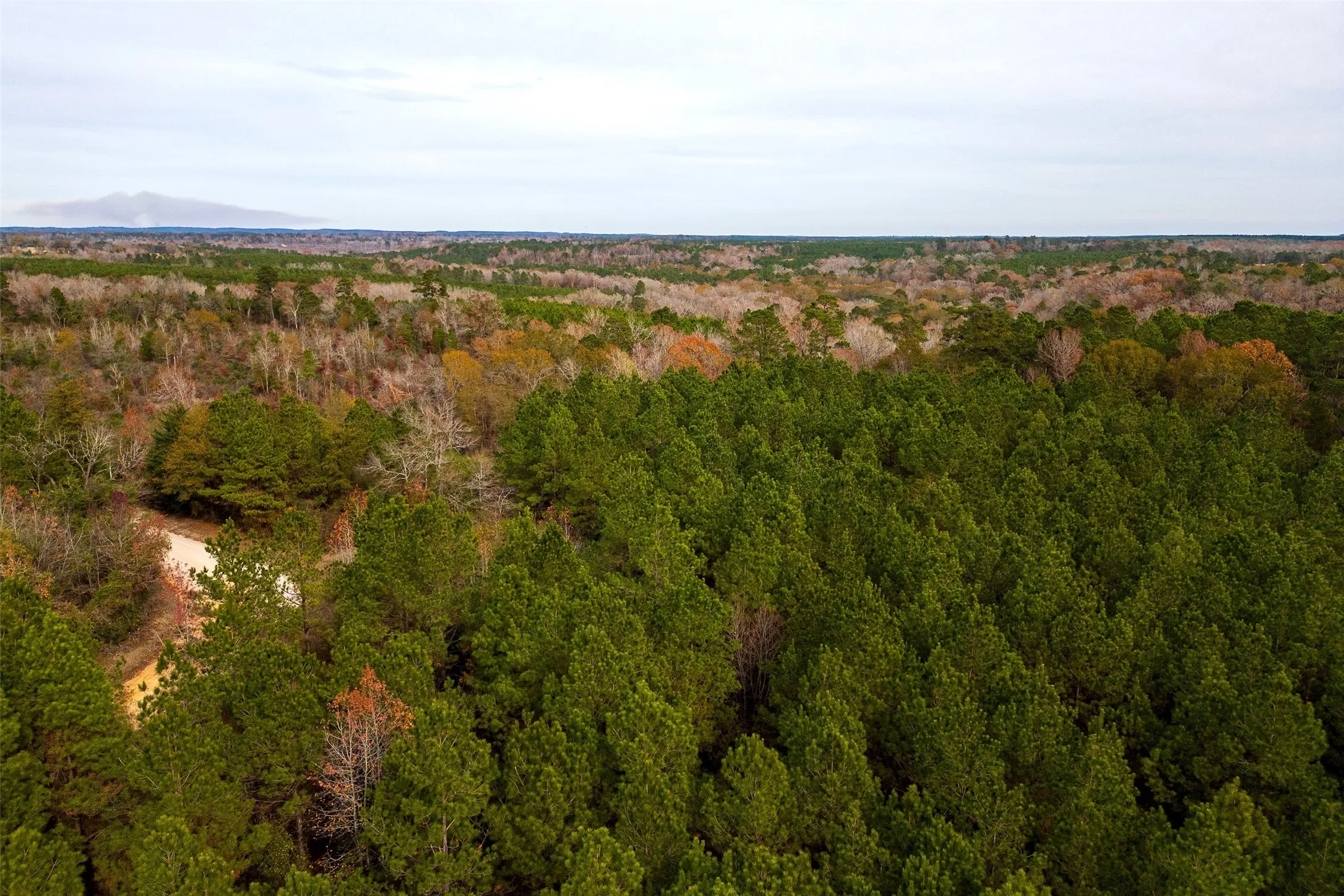 Unimproved Land For Sale in Shelby County , 00 County Road 1247, Center, Texas 75935, 0, 0, Garage spaces, 0 Sqft, built in 0, Price $265,000, mls#21149434, Real Estate Agent in Center, Homes For Sale in Shelby county, Homes For Sale in Center, Realtor in Center Texas, Real Estate Brokerage Independent Realty Texas, Luminita Cordes Realtor