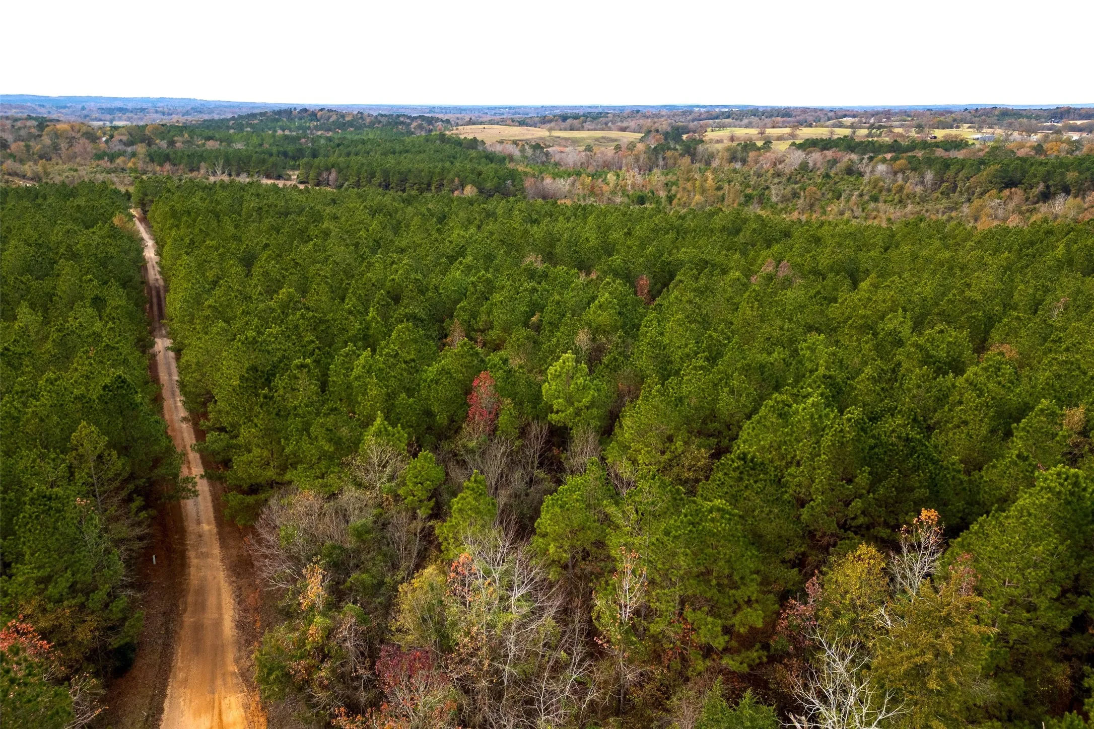 Unimproved Land For Sale in Shelby County , 00 County Road 1247, Center, Texas 75935, 0, 0, Garage spaces, 0 Sqft, built in 0, Price $265,000, mls#21149434, Real Estate Agent in Center, Homes For Sale in Shelby county, Homes For Sale in Center, Realtor in Center Texas, Real Estate Brokerage Independent Realty Texas, Luminita Cordes Realtor