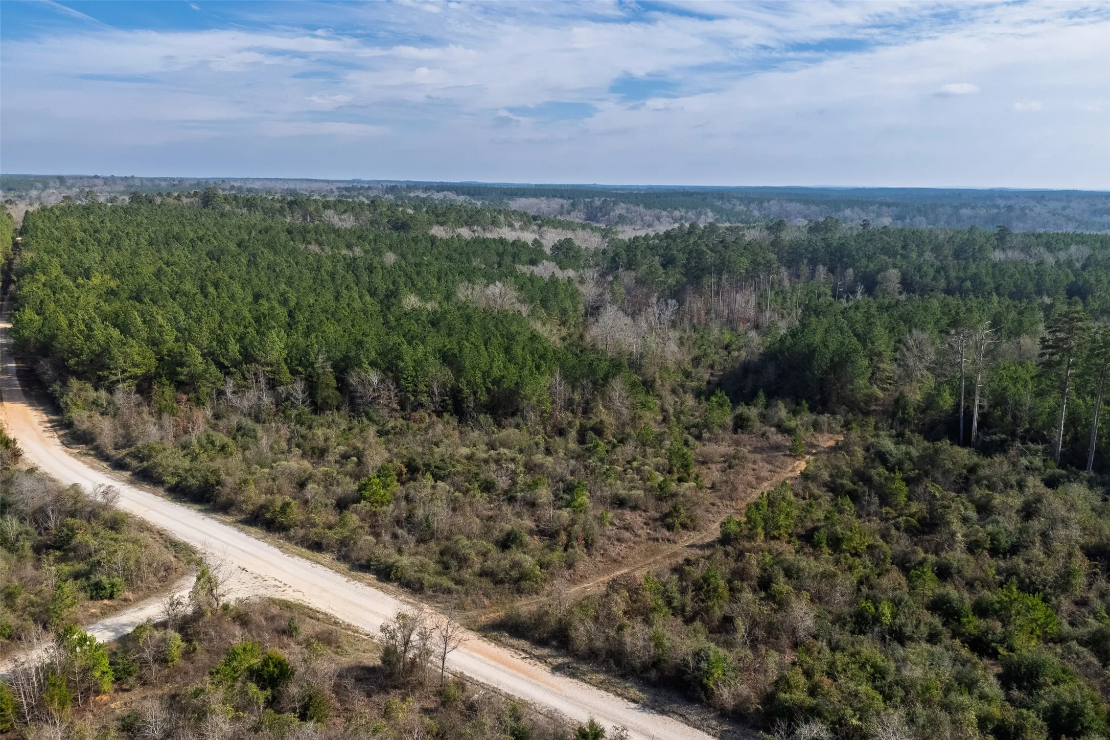 Unimproved Land For Sale in Shelby County , 00 County Road 1247, Center, Texas 75935, 0, 0, Garage spaces, 0 Sqft, built in 0, Price $265,000, mls#21149434, Real Estate Agent in Center, Homes For Sale in Shelby county, Homes For Sale in Center, Realtor in Center Texas, Real Estate Brokerage Independent Realty Texas, Luminita Cordes Realtor