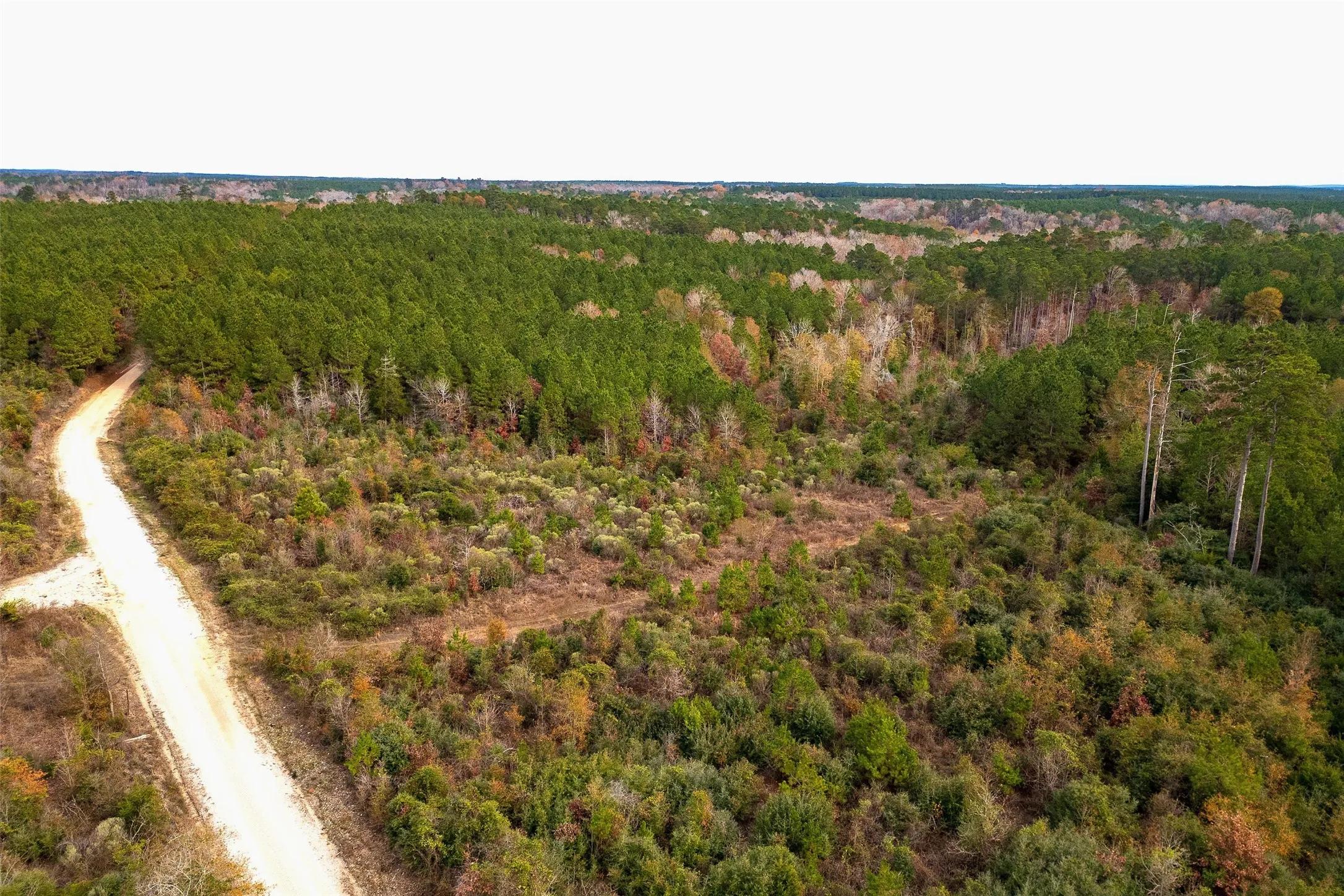 Unimproved Land For Sale in Shelby County , 00 County Road 1247, Center, Texas 75935, 0, 0, Garage spaces, 0 Sqft, built in 0, Price $265,000, mls#21149434, Real Estate Agent in Center, Homes For Sale in Shelby county, Homes For Sale in Center, Realtor in Center Texas, Real Estate Brokerage Independent Realty Texas, Luminita Cordes Realtor