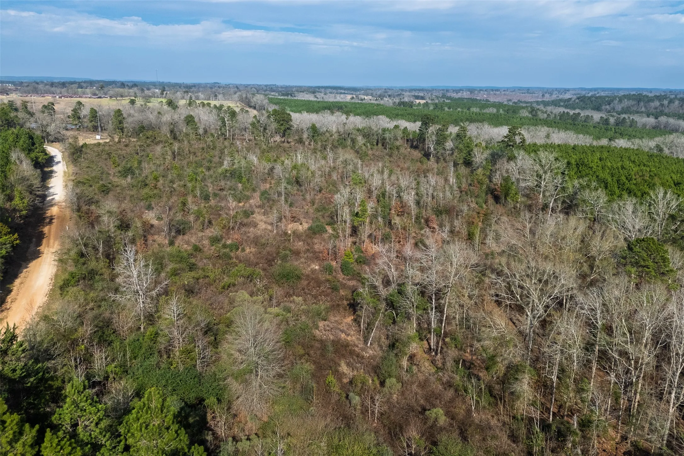 Unimproved Land For Sale in Shelby County , 00 County Road 1247, Center, Texas 75935, 0, 0, Garage spaces, 0 Sqft, built in 0, Price $265,000, mls#21149434, Real Estate Agent in Center, Homes For Sale in Shelby county, Homes For Sale in Center, Realtor in Center Texas, Real Estate Brokerage Independent Realty Texas, Luminita Cordes Realtor