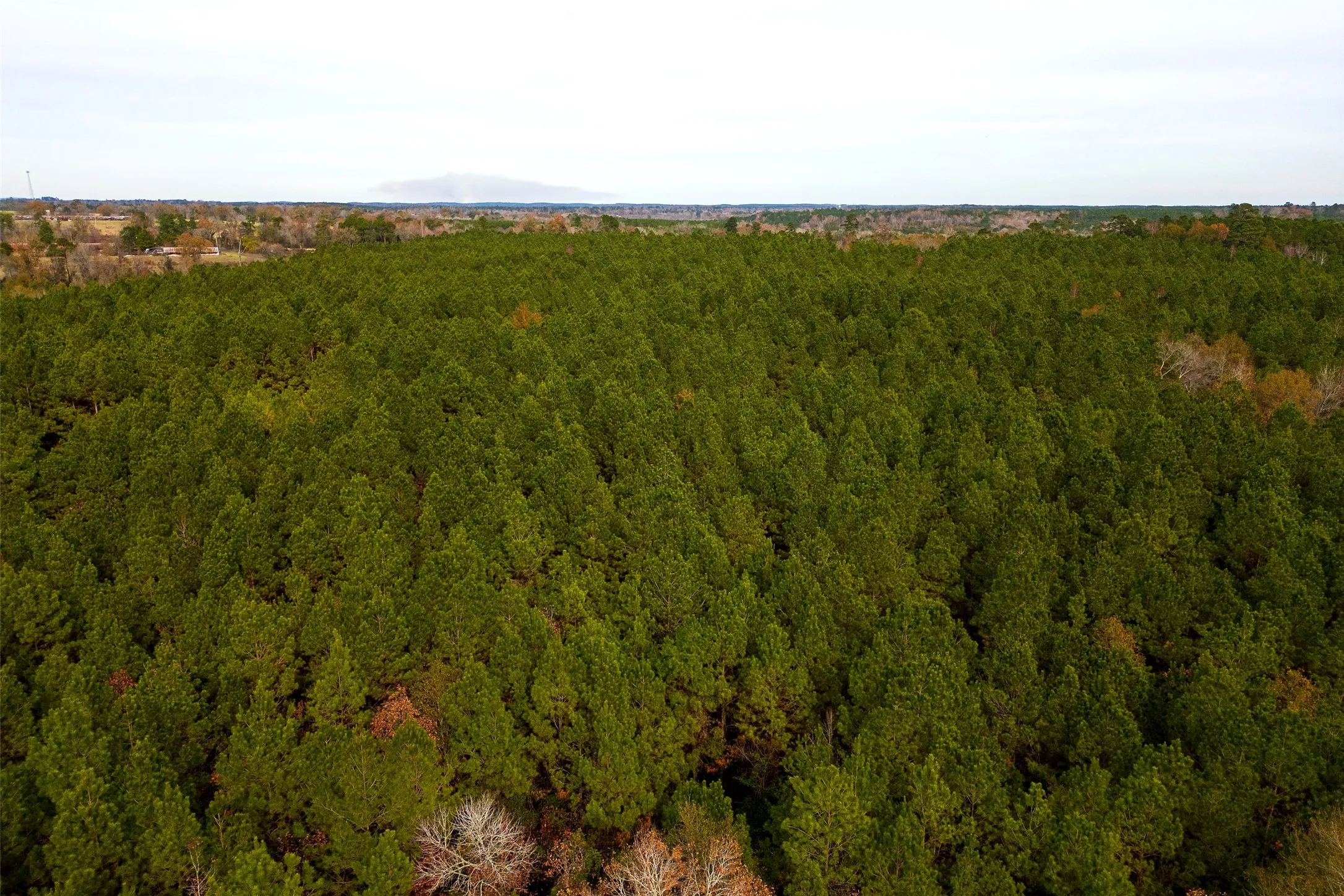 Unimproved Land For Sale in Shelby County , 00 County Road 1247, Center, Texas 75935, 0, 0, Garage spaces, 0 Sqft, built in 0, Price $265,000, mls#21149434, Real Estate Agent in Center, Homes For Sale in Shelby county, Homes For Sale in Center, Realtor in Center Texas, Real Estate Brokerage Independent Realty Texas, Luminita Cordes Realtor