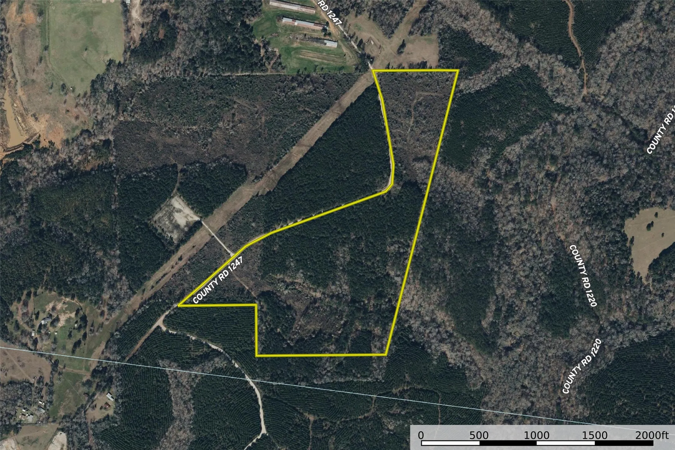 Unimproved Land For Sale in Shelby County , 00 County Road 1247, Center, Texas 75935, 0, 0, Garage spaces, 0 Sqft, built in 0, Price $265,000, mls#21149434, Real Estate Agent in Center, Homes For Sale in Shelby county, Homes For Sale in Center, Realtor in Center Texas, Real Estate Brokerage Independent Realty Texas, Luminita Cordes Realtor