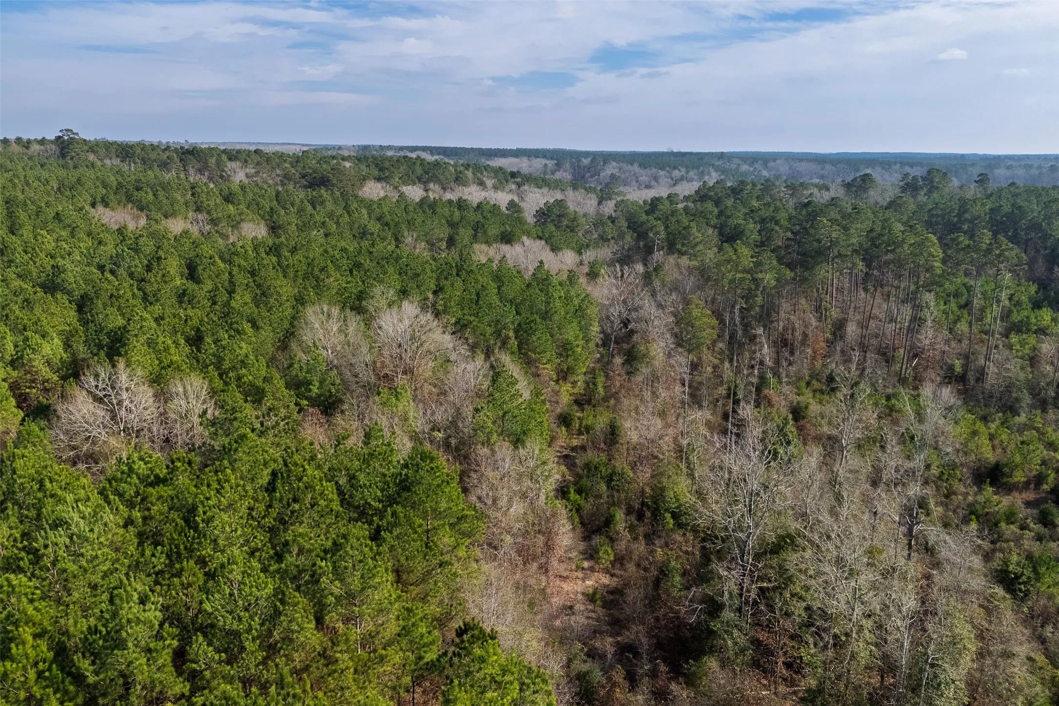 Unimproved Land For Sale in Shelby County , 00 County Road 1247, Center, Texas 75935, 0, 0, Garage spaces, 0 Sqft, built in 0, Price $265,000, mls#21149434, Real Estate Agent in Center, Homes For Sale in Shelby county, Homes For Sale in Center, Realtor in Center Texas, Real Estate Brokerage Independent Realty Texas, Luminita Cordes Realtor