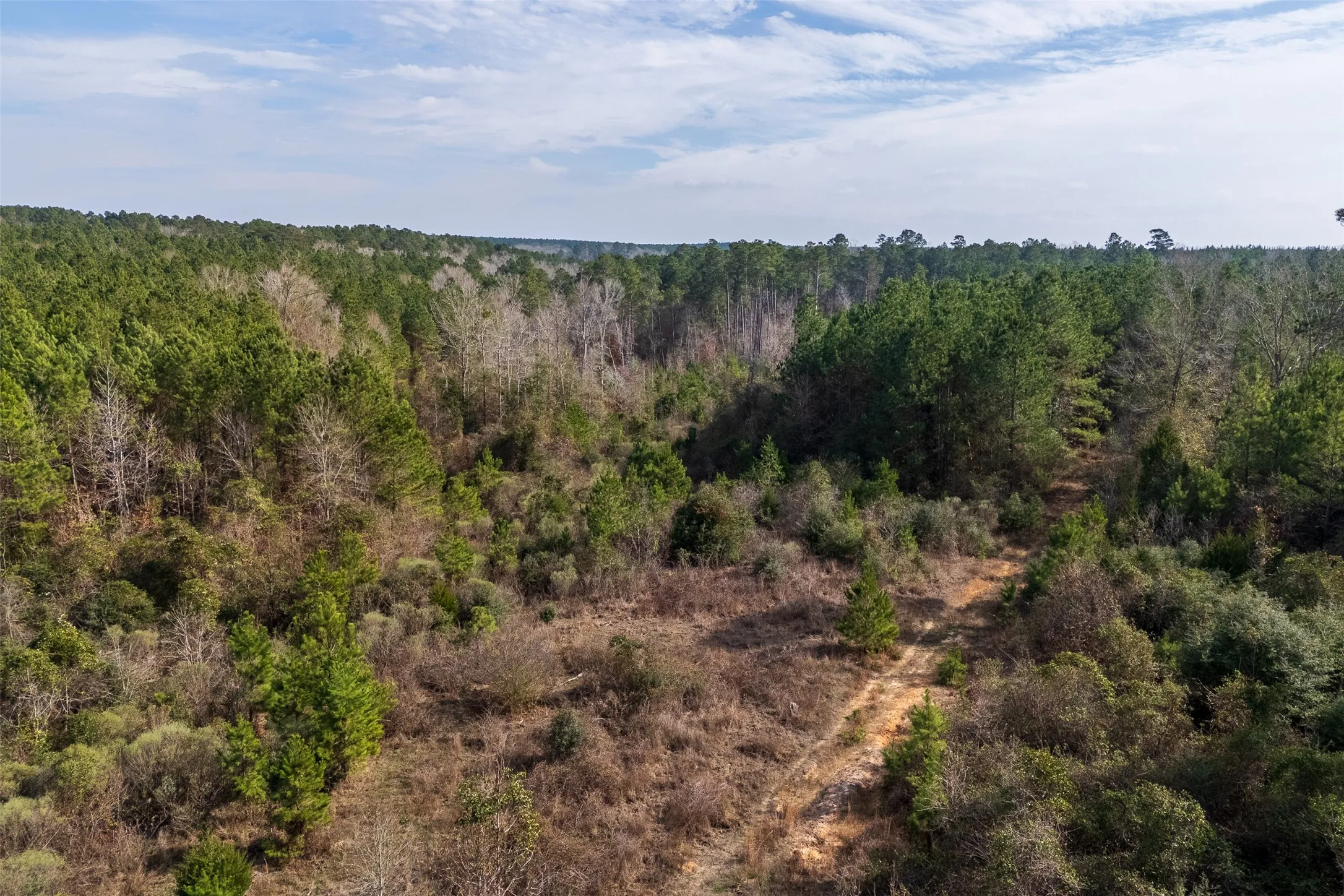 Unimproved Land For Sale in Shelby County , 000 County Road 1245, Center, Texas 75935, 0, 0, Garage spaces, 0 Sqft, built in 0, Price $425,000, mls#21155197, Real Estate Agent in Center, Homes For Sale in Shelby county, Homes For Sale in Center, Realtor in Center Texas, Real Estate Brokerage Independent Realty Texas, Luminita Cordes Realtor