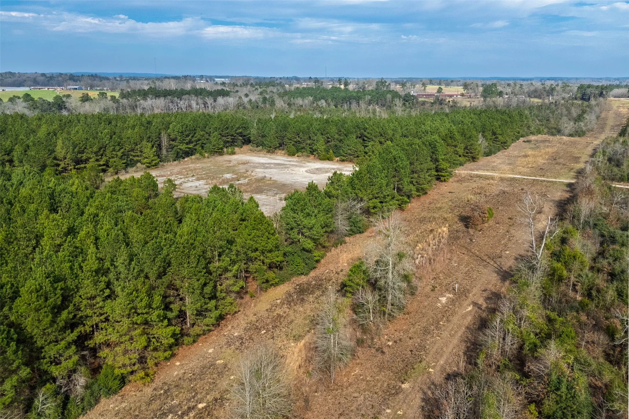 Unimproved Land For Sale in Shelby County , 000 County Road 1245, Center, Texas 75935, 0, 0, Garage spaces, 0 Sqft, built in 0, Price $425,000, mls#21155197, Real Estate Agent in Center, Homes For Sale in Shelby county, Homes For Sale in Center, Realtor in Center Texas, Real Estate Brokerage Independent Realty Texas, Luminita Cordes Realtor