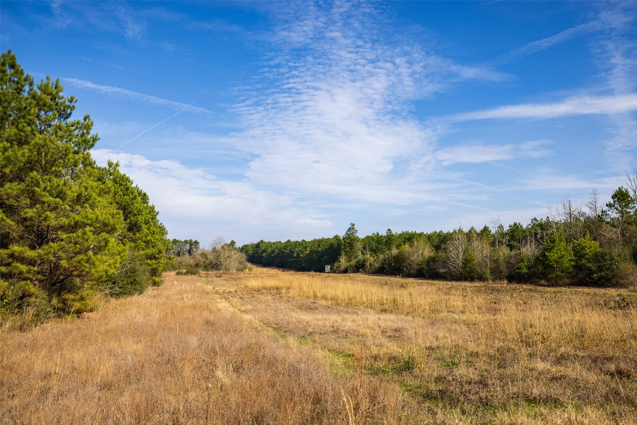 Unimproved Land For Sale in Shelby County , 000 County Road 1245, Center, Texas 75935, 0, 0, Garage spaces, 0 Sqft, built in 0, Price $425,000, mls#21155197, Real Estate Agent in Center, Homes For Sale in Shelby county, Homes For Sale in Center, Realtor in Center Texas, Real Estate Brokerage Independent Realty Texas, Luminita Cordes Realtor