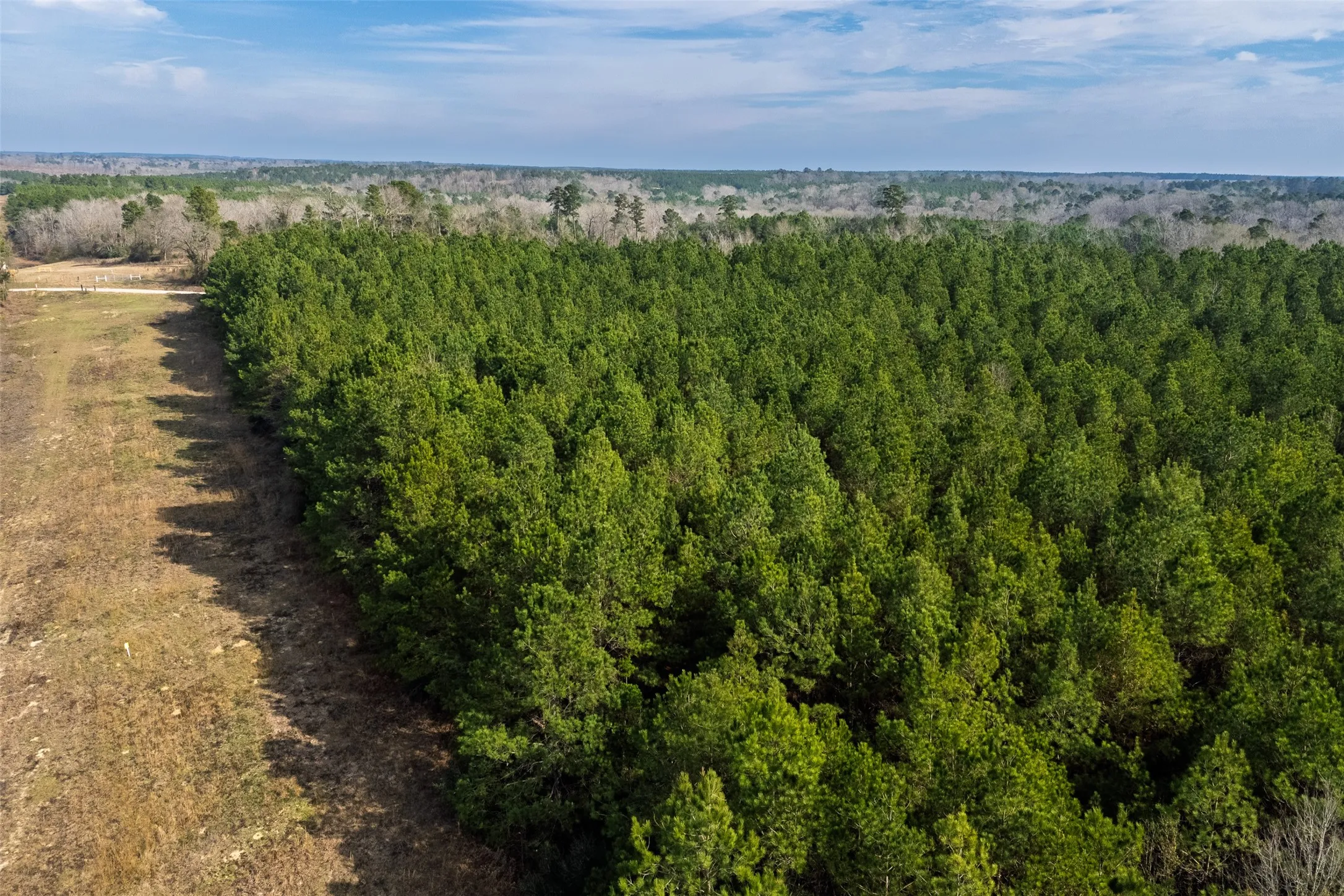 Unimproved Land For Sale in Shelby County , 000 County Road 1245, Center, Texas 75935, 0, 0, Garage spaces, 0 Sqft, built in 0, Price $425,000, mls#21155197, Real Estate Agent in Center, Homes For Sale in Shelby county, Homes For Sale in Center, Realtor in Center Texas, Real Estate Brokerage Independent Realty Texas, Luminita Cordes Realtor