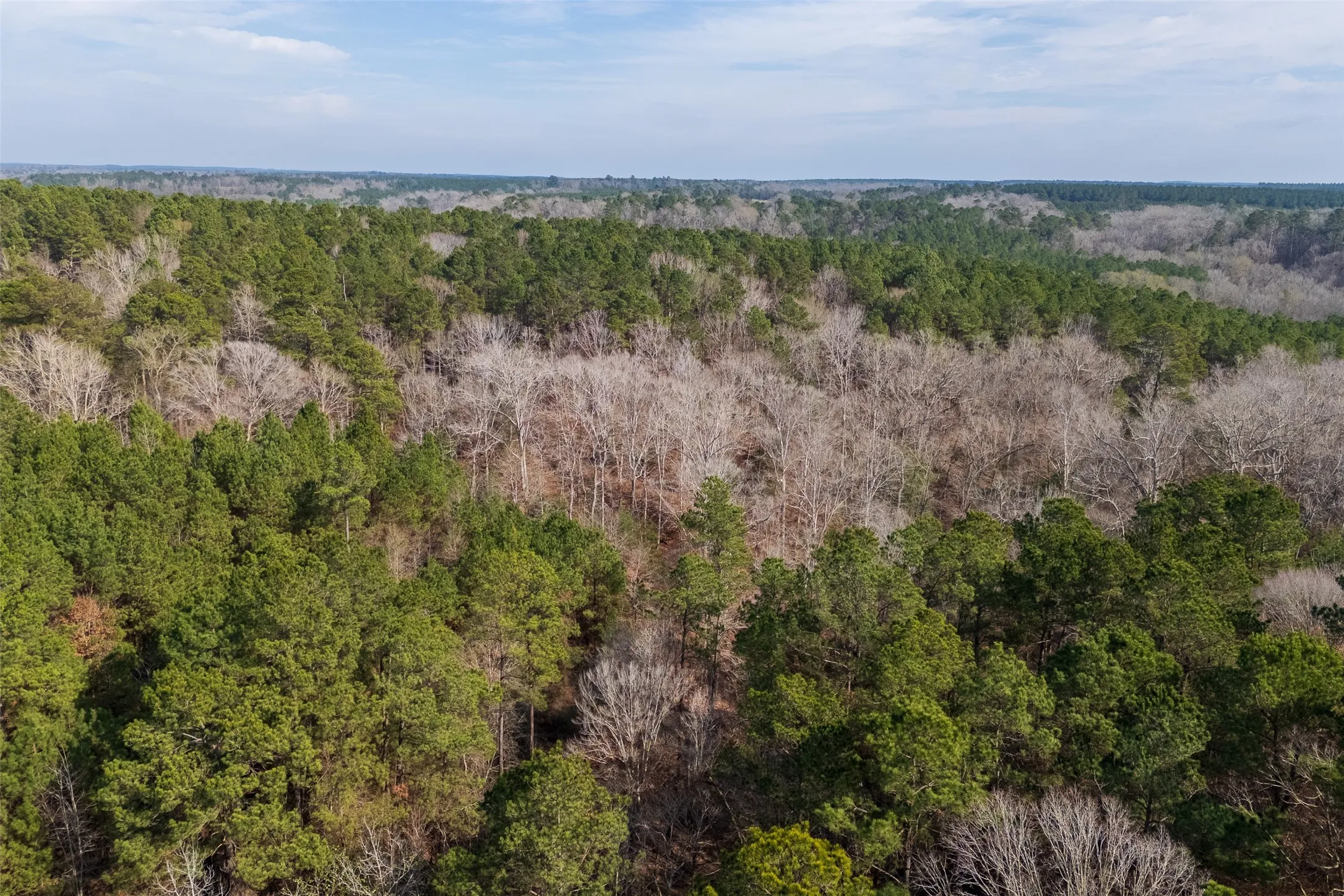 Unimproved Land For Sale in Shelby County , 000 County Road 1245, Center, Texas 75935, 0, 0, Garage spaces, 0 Sqft, built in 0, Price $425,000, mls#21155197, Real Estate Agent in Center, Homes For Sale in Shelby county, Homes For Sale in Center, Realtor in Center Texas, Real Estate Brokerage Independent Realty Texas, Luminita Cordes Realtor