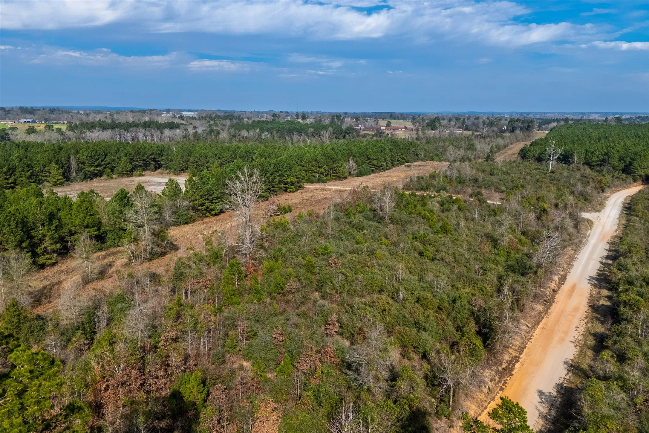 Unimproved Land For Sale in Shelby County , 000 County Road 1245, Center, Texas 75935, 0, 0, Garage spaces, 0 Sqft, built in 0, Price $425,000, mls#21155197, Real Estate Agent in Center, Homes For Sale in Shelby county, Homes For Sale in Center, Realtor in Center Texas, Real Estate Brokerage Independent Realty Texas, Luminita Cordes Realtor