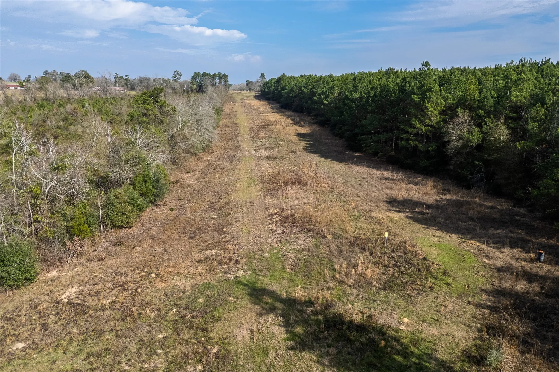 Unimproved Land For Sale in Shelby County , 000 County Road 1245, Center, Texas 75935, 0, 0, Garage spaces, 0 Sqft, built in 0, Price $425,000, mls#21155197, Real Estate Agent in Center, Homes For Sale in Shelby county, Homes For Sale in Center, Realtor in Center Texas, Real Estate Brokerage Independent Realty Texas, Luminita Cordes Realtor