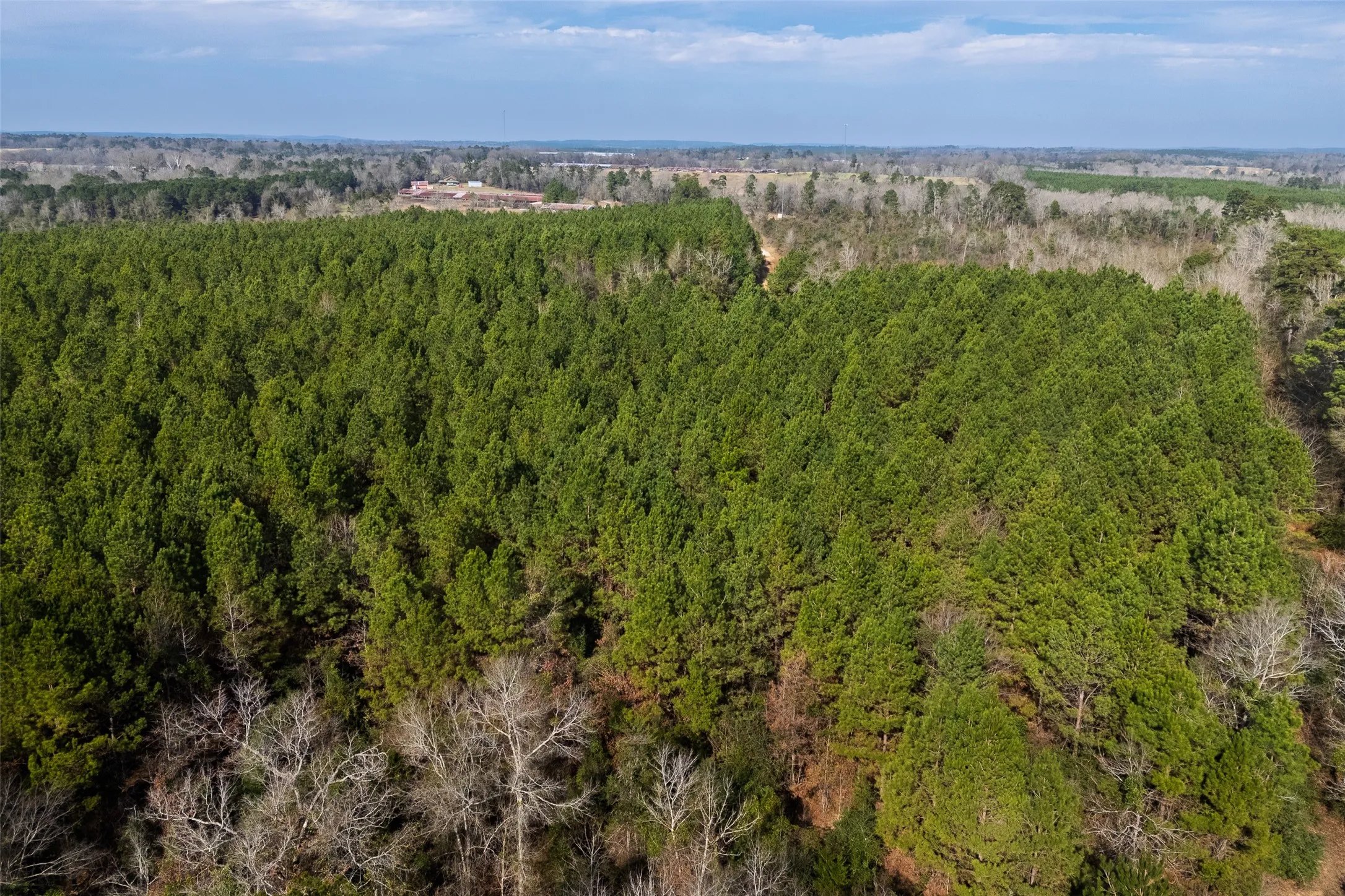 Unimproved Land For Sale in Shelby County , 000 County Road 1245, Center, Texas 75935, 0, 0, Garage spaces, 0 Sqft, built in 0, Price $425,000, mls#21155197, Real Estate Agent in Center, Homes For Sale in Shelby county, Homes For Sale in Center, Realtor in Center Texas, Real Estate Brokerage Independent Realty Texas, Luminita Cordes Realtor