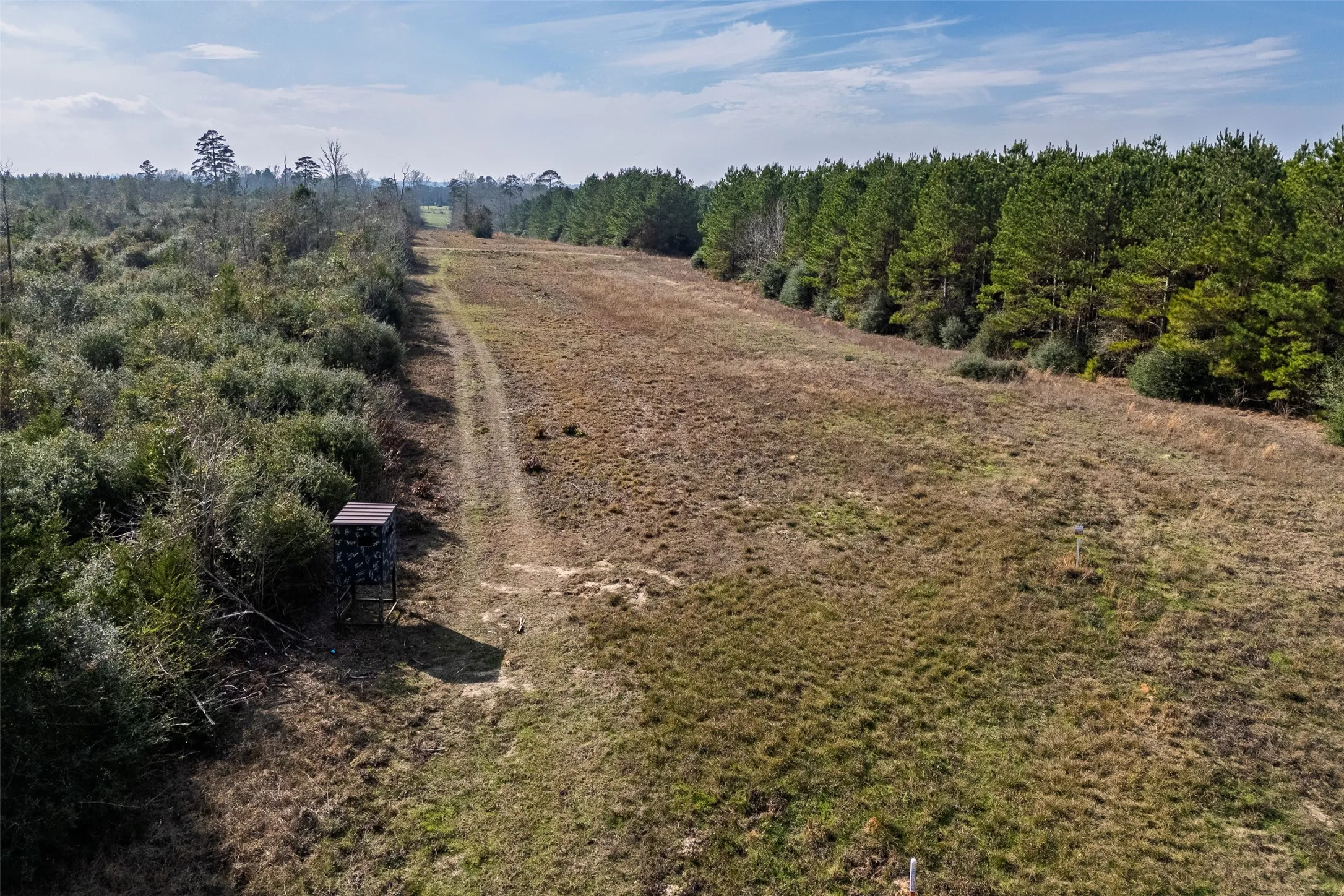 Unimproved Land For Sale in Shelby County , 000 County Road 1245, Center, Texas 75935, 0, 0, Garage spaces, 0 Sqft, built in 0, Price $425,000, mls#21155197, Real Estate Agent in Center, Homes For Sale in Shelby county, Homes For Sale in Center, Realtor in Center Texas, Real Estate Brokerage Independent Realty Texas, Luminita Cordes Realtor