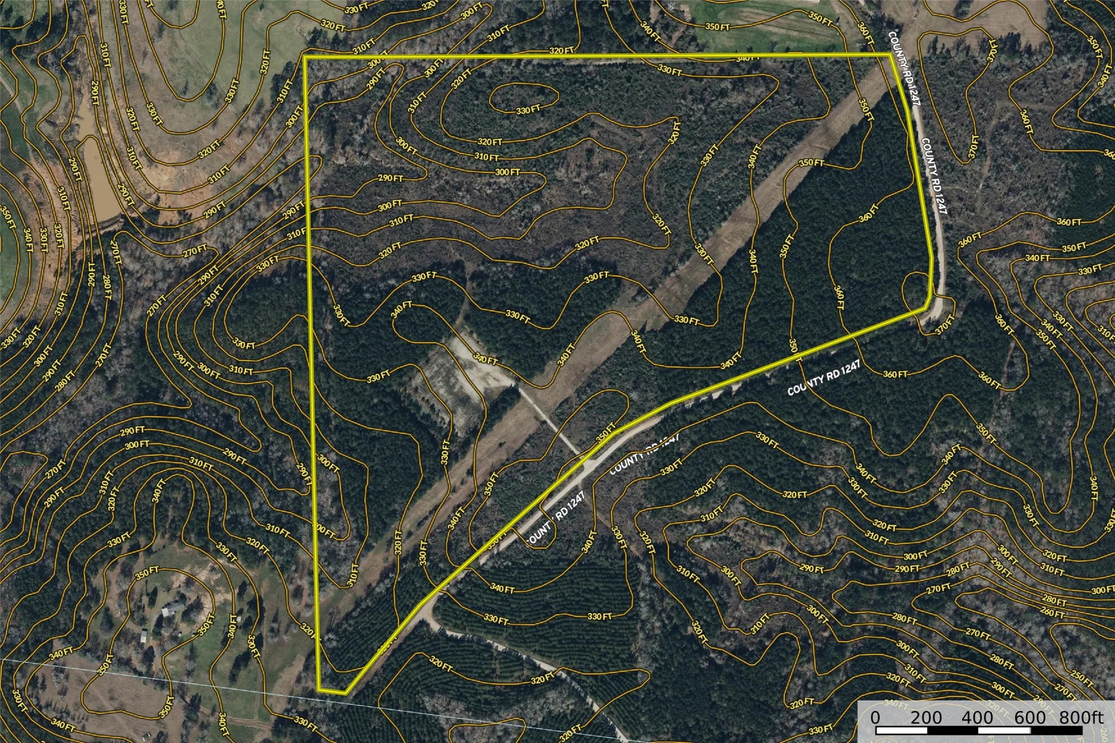 Unimproved Land For Sale in Shelby County , 000 County Road 1245, Center, Texas 75935, 0, 0, Garage spaces, 0 Sqft, built in 0, Price $425,000, mls#21155197, Real Estate Agent in Center, Homes For Sale in Shelby county, Homes For Sale in Center, Realtor in Center Texas, Real Estate Brokerage Independent Realty Texas, Luminita Cordes Realtor