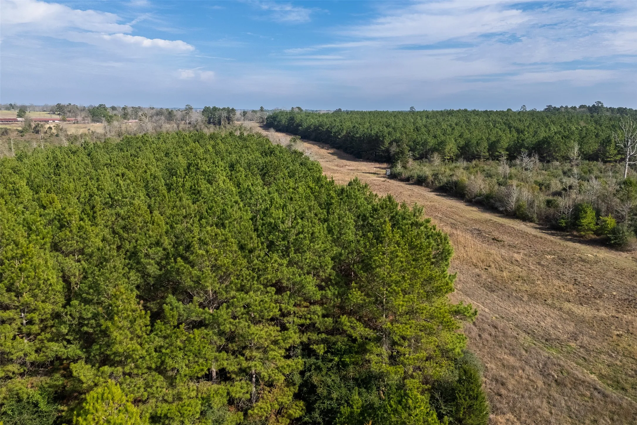 Unimproved Land For Sale in Shelby County , 000 County Road 1245, Center, Texas 75935, 0, 0, Garage spaces, 0 Sqft, built in 0, Price $425,000, mls#21155197, Real Estate Agent in Center, Homes For Sale in Shelby county, Homes For Sale in Center, Realtor in Center Texas, Real Estate Brokerage Independent Realty Texas, Luminita Cordes Realtor