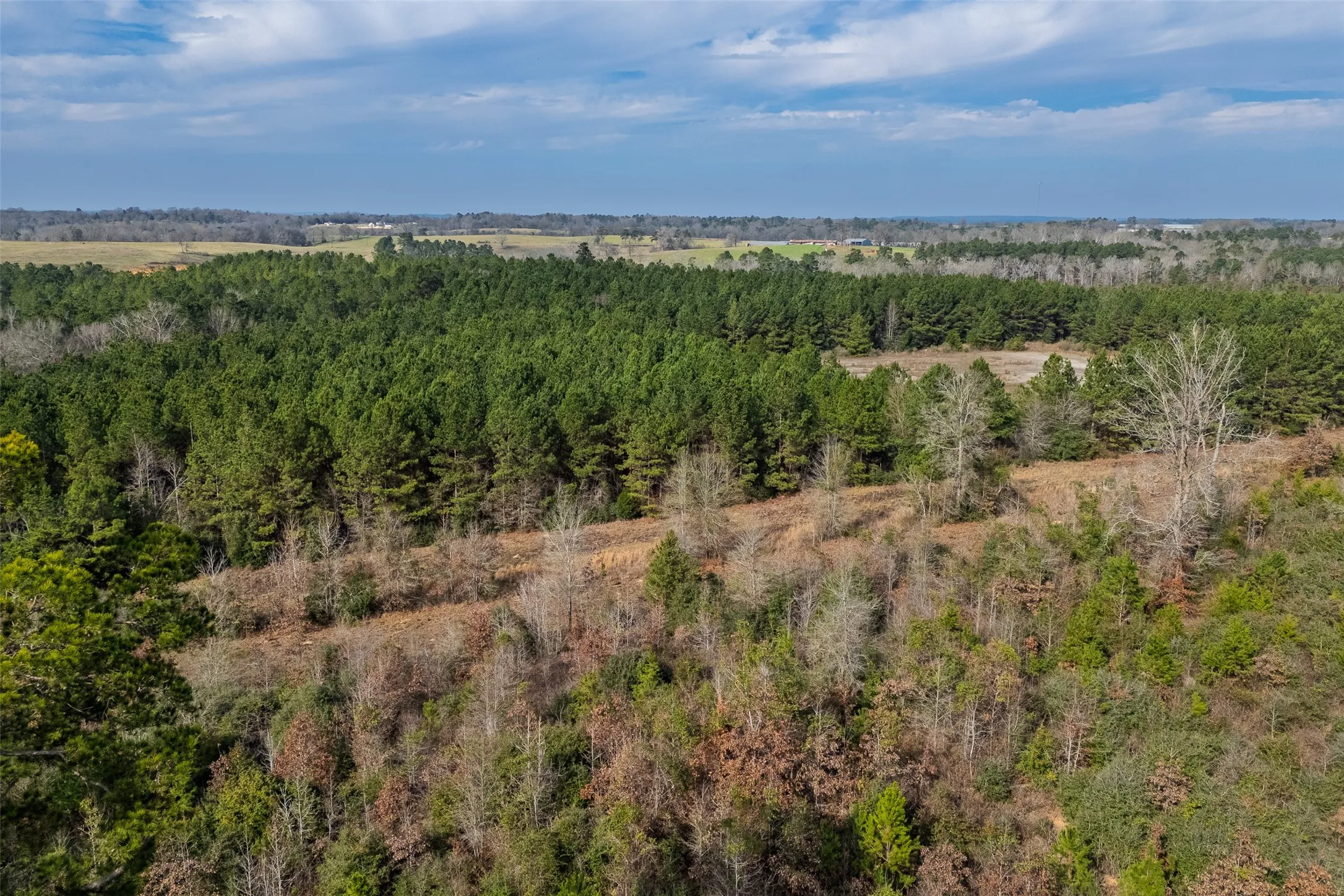 Unimproved Land For Sale in Shelby County , 000 County Road 1245, Center, Texas 75935, 0, 0, Garage spaces, 0 Sqft, built in 0, Price $425,000, mls#21155197, Real Estate Agent in Center, Homes For Sale in Shelby county, Homes For Sale in Center, Realtor in Center Texas, Real Estate Brokerage Independent Realty Texas, Luminita Cordes Realtor