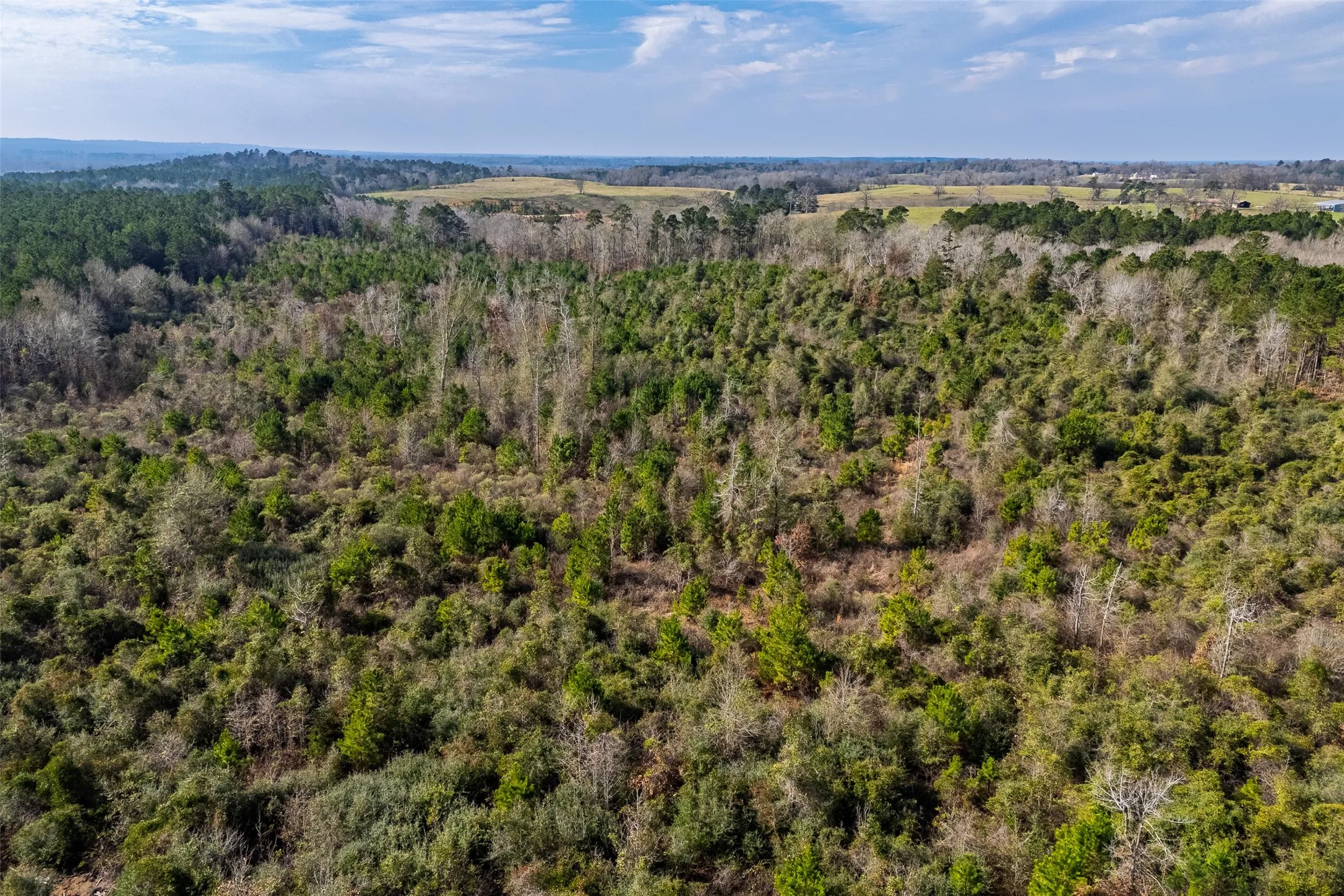 Unimproved Land For Sale in Shelby County , 000 County Road 1245, Center, Texas 75935, 0, 0, Garage spaces, 0 Sqft, built in 0, Price $425,000, mls#21155197, Real Estate Agent in Center, Homes For Sale in Shelby county, Homes For Sale in Center, Realtor in Center Texas, Real Estate Brokerage Independent Realty Texas, Luminita Cordes Realtor