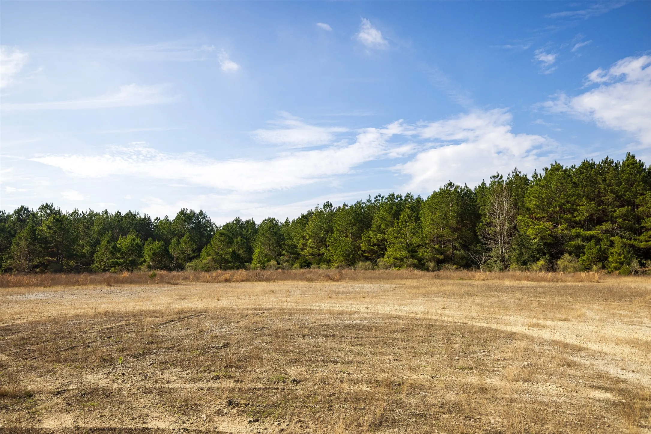 Unimproved Land For Sale in Shelby County , 000 County Road 1245, Center, Texas 75935, 0, 0, Garage spaces, 0 Sqft, built in 0, Price $425,000, mls#21155197, Real Estate Agent in Center, Homes For Sale in Shelby county, Homes For Sale in Center, Realtor in Center Texas, Real Estate Brokerage Independent Realty Texas, Luminita Cordes Realtor