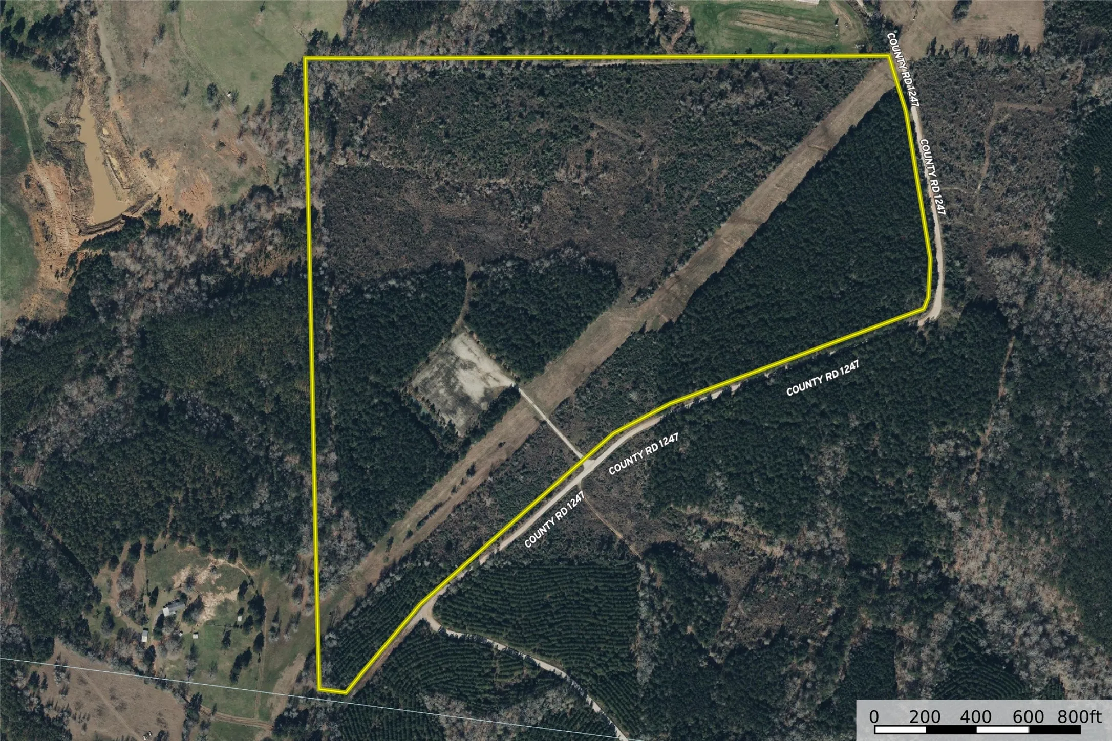 Unimproved Land For Sale in Shelby County , 000 County Road 1245, Center, Texas 75935, 0, 0, Garage spaces, 0 Sqft, built in 0, Price $425,000, mls#21155197, Real Estate Agent in Center, Homes For Sale in Shelby county, Homes For Sale in Center, Realtor in Center Texas, Real Estate Brokerage Independent Realty Texas, Luminita Cordes Realtor