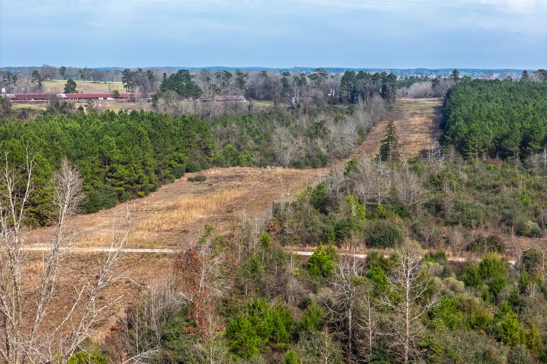 Unimproved Land For Sale in Shelby County , 000 County Road 1245, Center, Texas 75935, 0, 0, Garage spaces, 0 Sqft, built in 0, Price $425,000, mls#21155197, Real Estate Agent in Center, Homes For Sale in Shelby county, Homes For Sale in Center, Realtor in Center Texas, Real Estate Brokerage Independent Realty Texas, Luminita Cordes Realtor