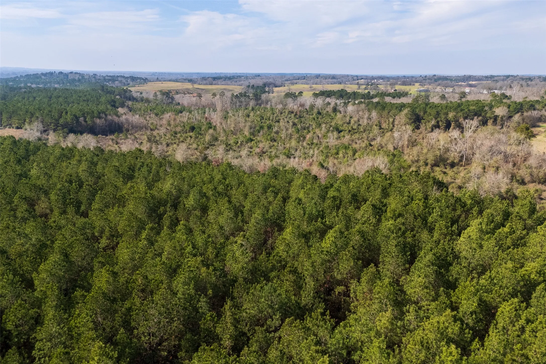 Unimproved Land For Sale in Shelby County , 000 County Road 1245, Center, Texas 75935, 0, 0, Garage spaces, 0 Sqft, built in 0, Price $425,000, mls#21155197, Real Estate Agent in Center, Homes For Sale in Shelby county, Homes For Sale in Center, Realtor in Center Texas, Real Estate Brokerage Independent Realty Texas, Luminita Cordes Realtor
