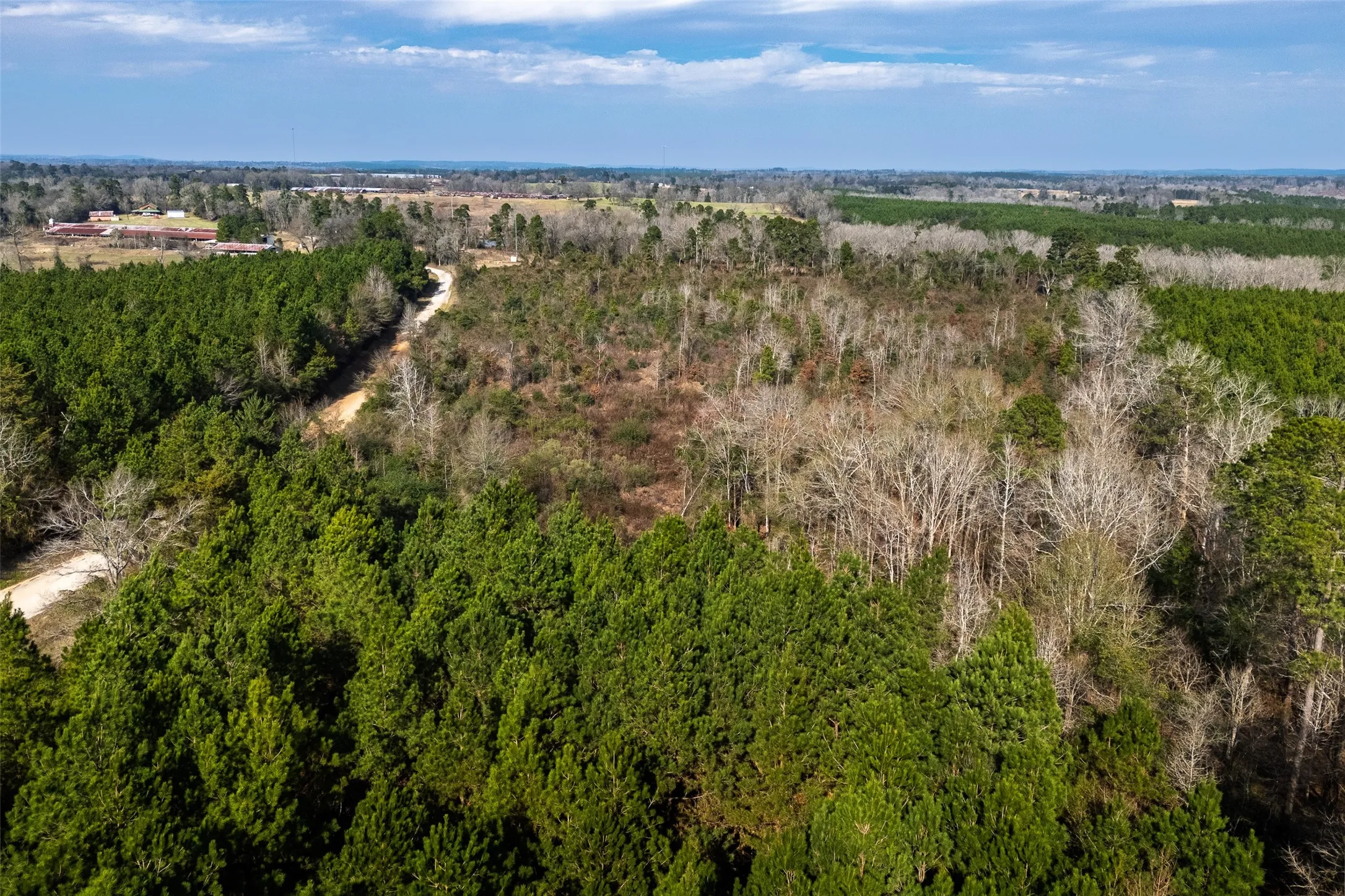 Unimproved Land For Sale in Shelby County , 000 County Road 1245, Center, Texas 75935, 0, 0, Garage spaces, 0 Sqft, built in 0, Price $425,000, mls#21155197, Real Estate Agent in Center, Homes For Sale in Shelby county, Homes For Sale in Center, Realtor in Center Texas, Real Estate Brokerage Independent Realty Texas, Luminita Cordes Realtor