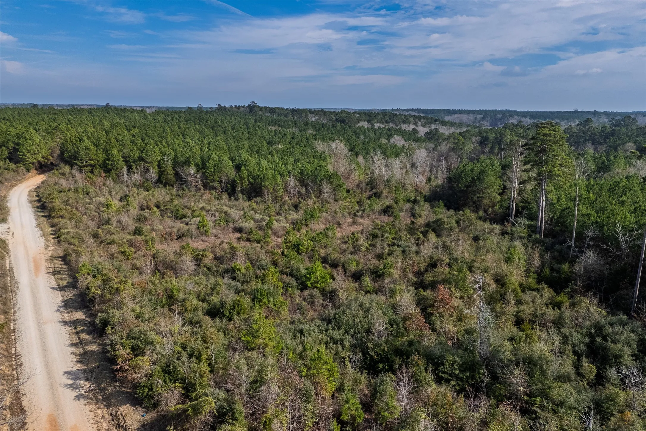 Unimproved Land For Sale in Shelby County , 000 County Road 1245, Center, Texas 75935, 0, 0, Garage spaces, 0 Sqft, built in 0, Price $425,000, mls#21155197, Real Estate Agent in Center, Homes For Sale in Shelby county, Homes For Sale in Center, Realtor in Center Texas, Real Estate Brokerage Independent Realty Texas, Luminita Cordes Realtor