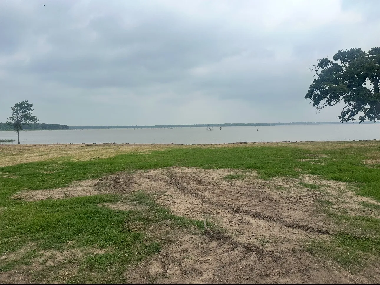 Unimproved Land For Sale in Navarro County , 108 N Weaver Court, Richland, Texas 75110, 0, 0, Garage spaces, 0 Sqft, built in 0, Price $399,900, mls#21154729, Real Estate Agent in Richland, Homes For Sale in Navarro county, Homes For Sale in Richland, Realtor in Richland Texas, Real Estate Brokerage Independent Realty Texas, Luminita Cordes Realtor