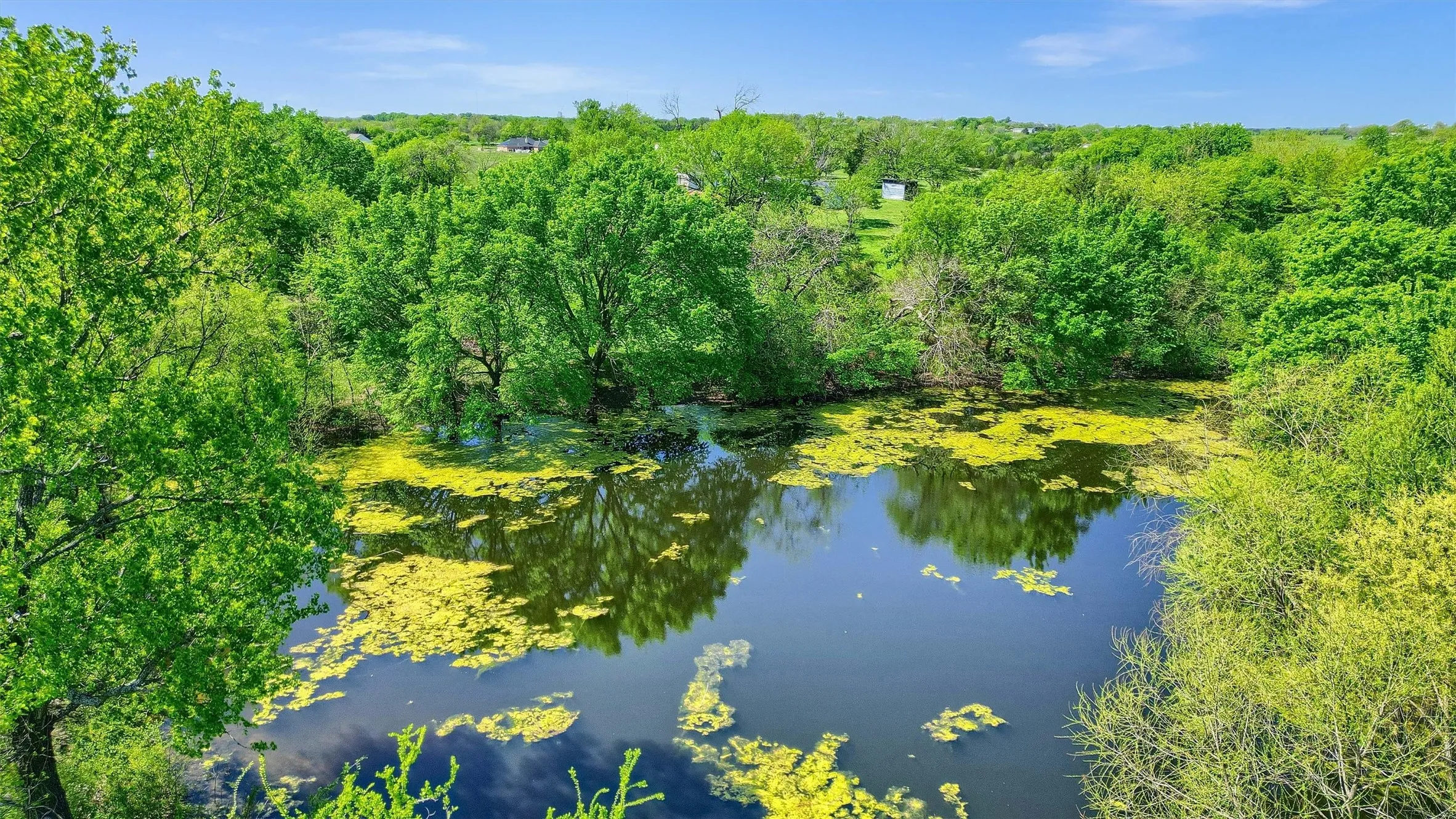 Water view featuring a view of trees