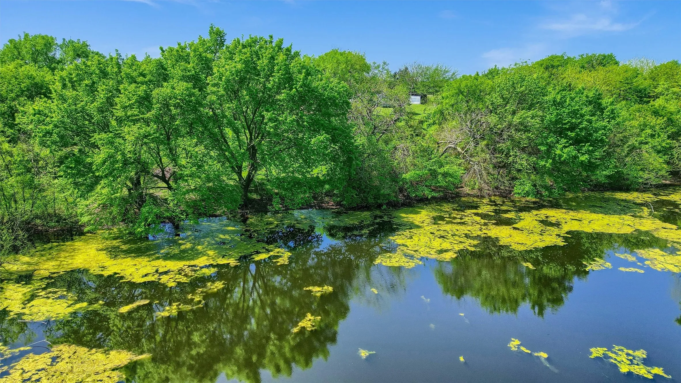 Water view with a wooded view